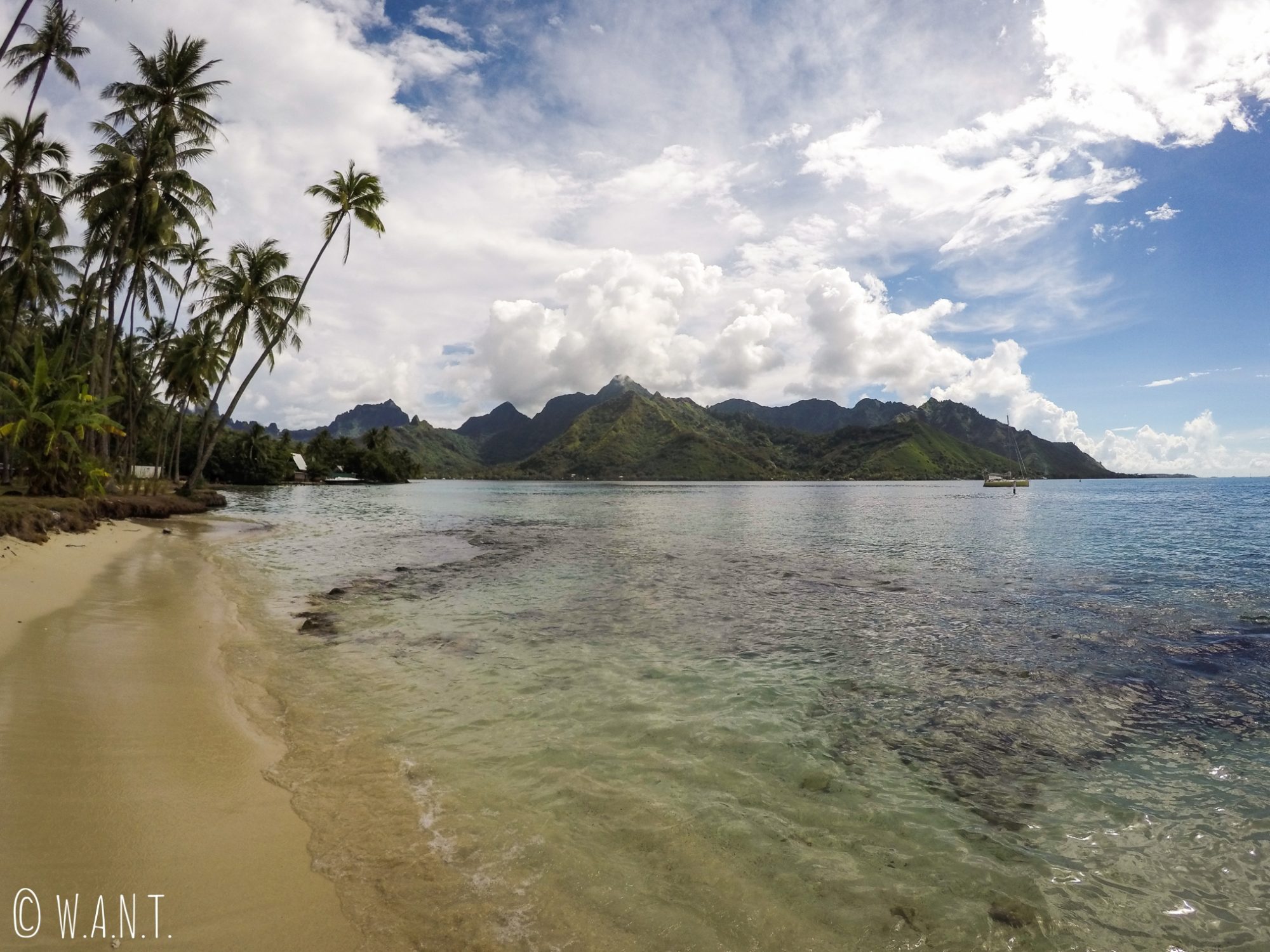 rencontre moorea