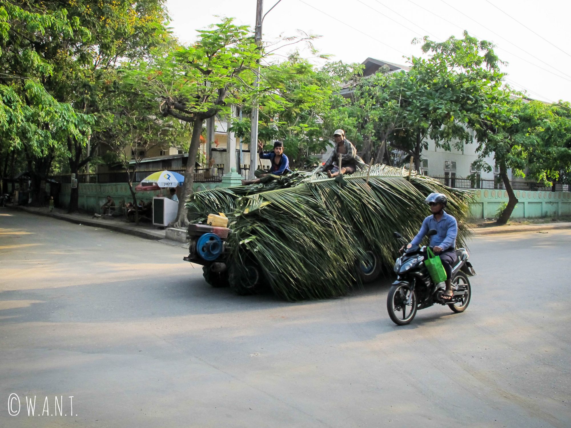 Chargement de feuilles de palme dans les rues de Mandalay