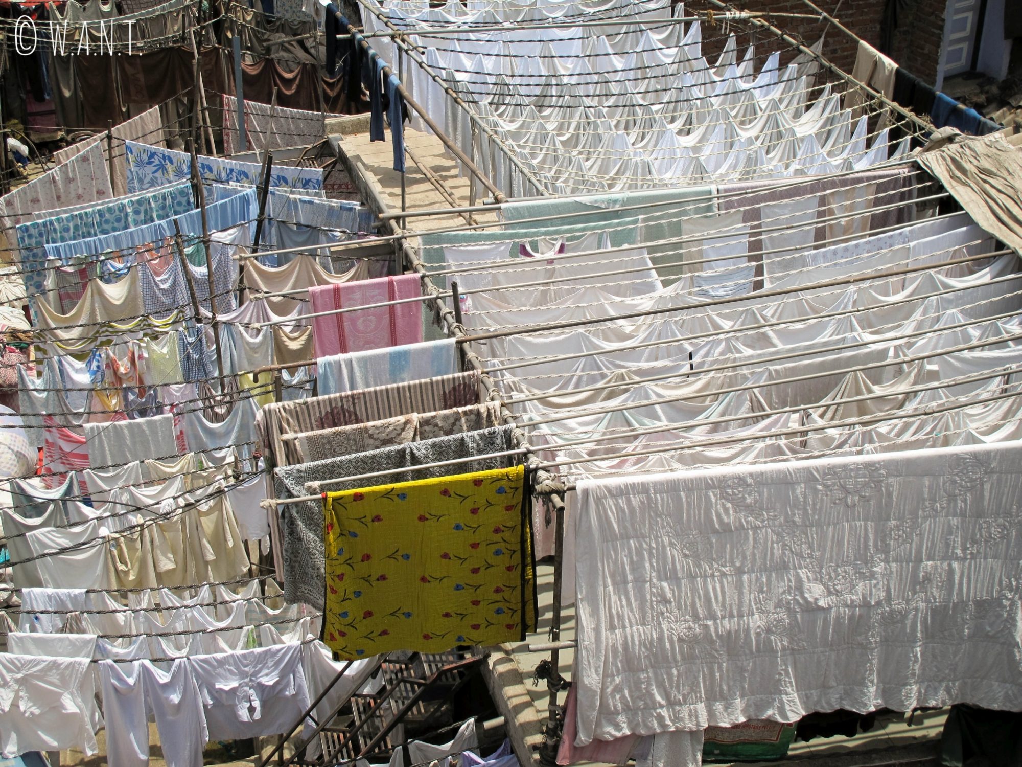 Le linge est étendu à perte de vue dans la laverie géante de Mumbai