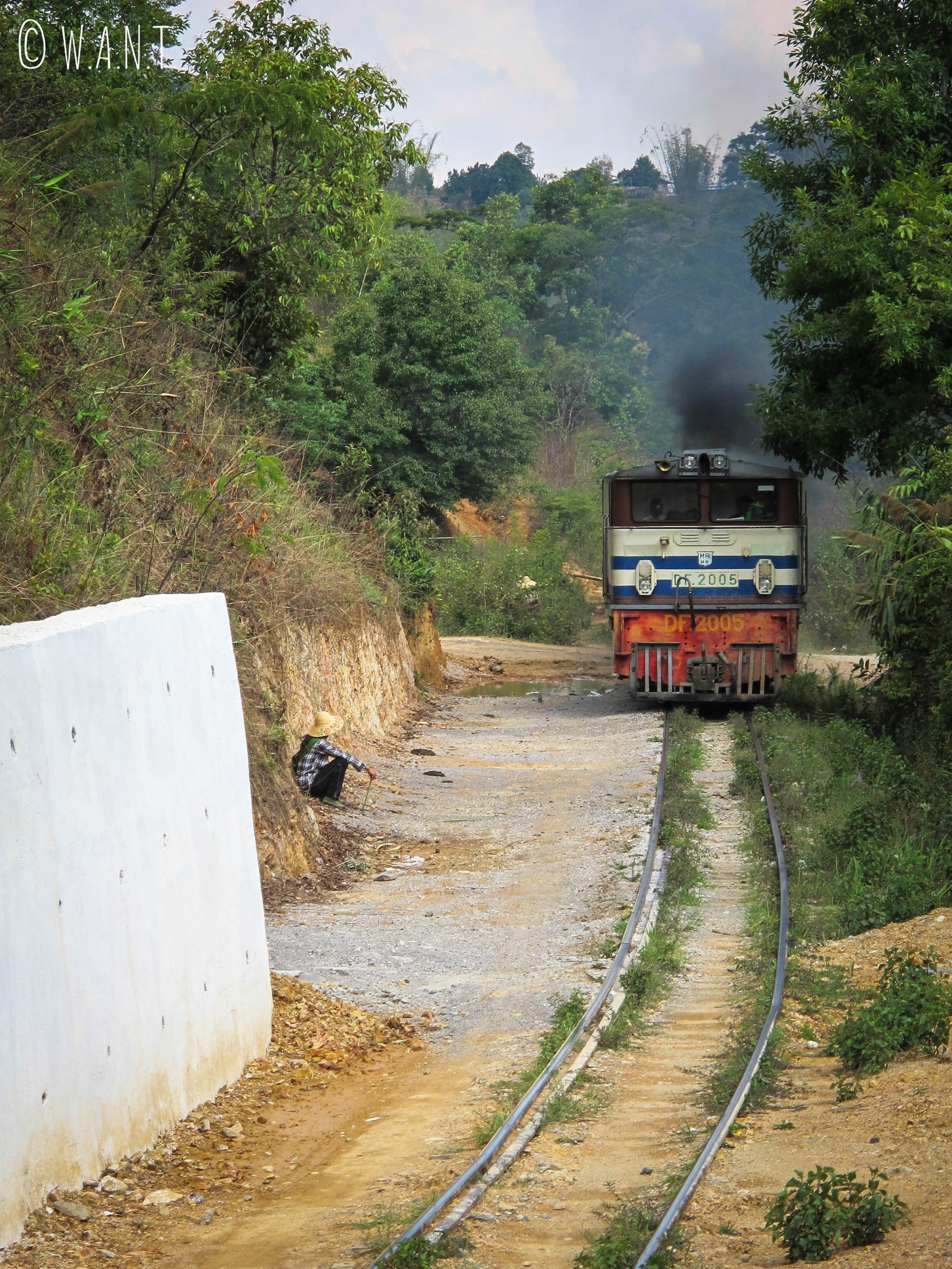 Passage d'un train sur la voie ferrée aux abords de Kalaw au Myanmar