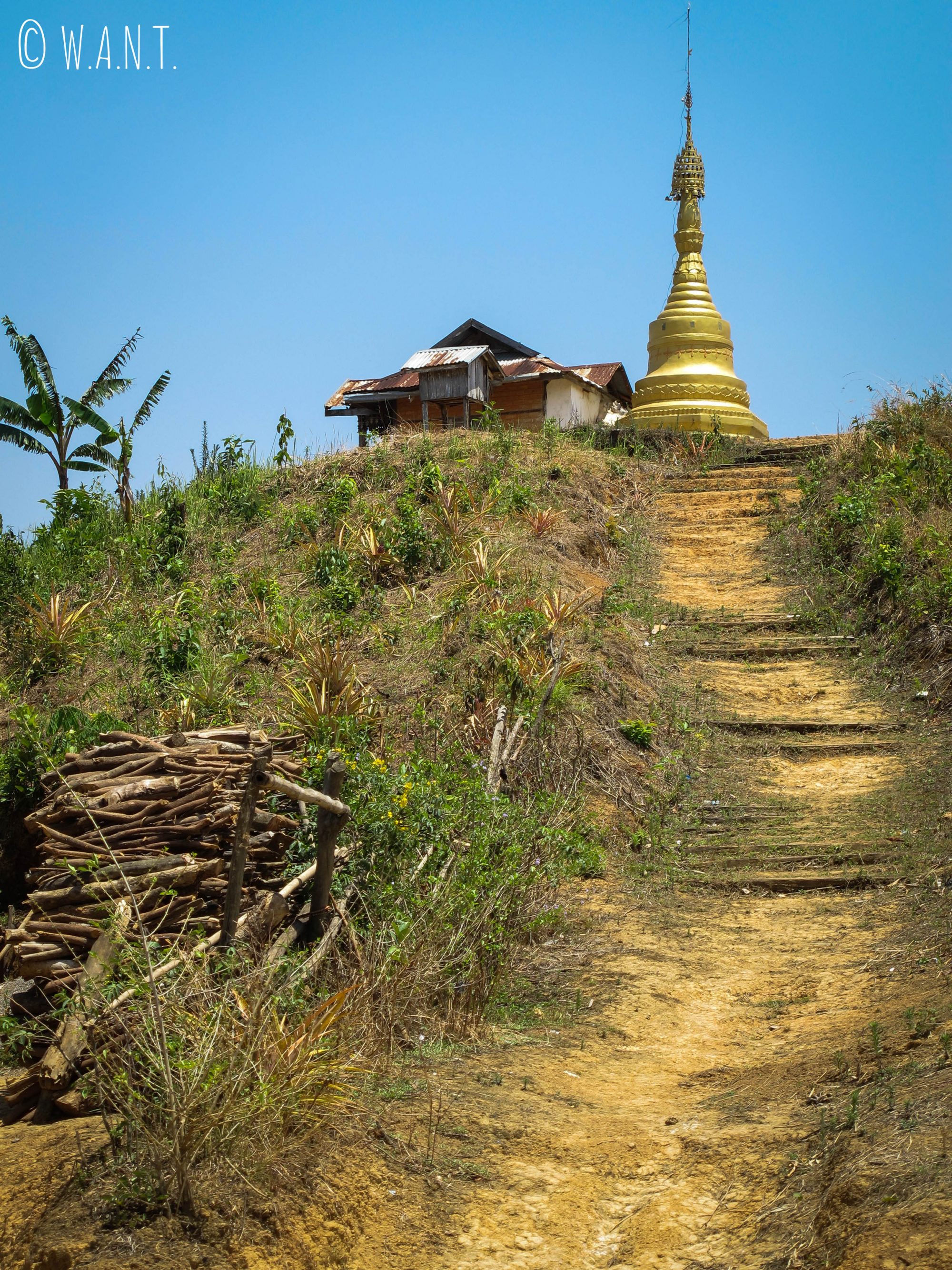 Stupa au milieu de la campagne birmane