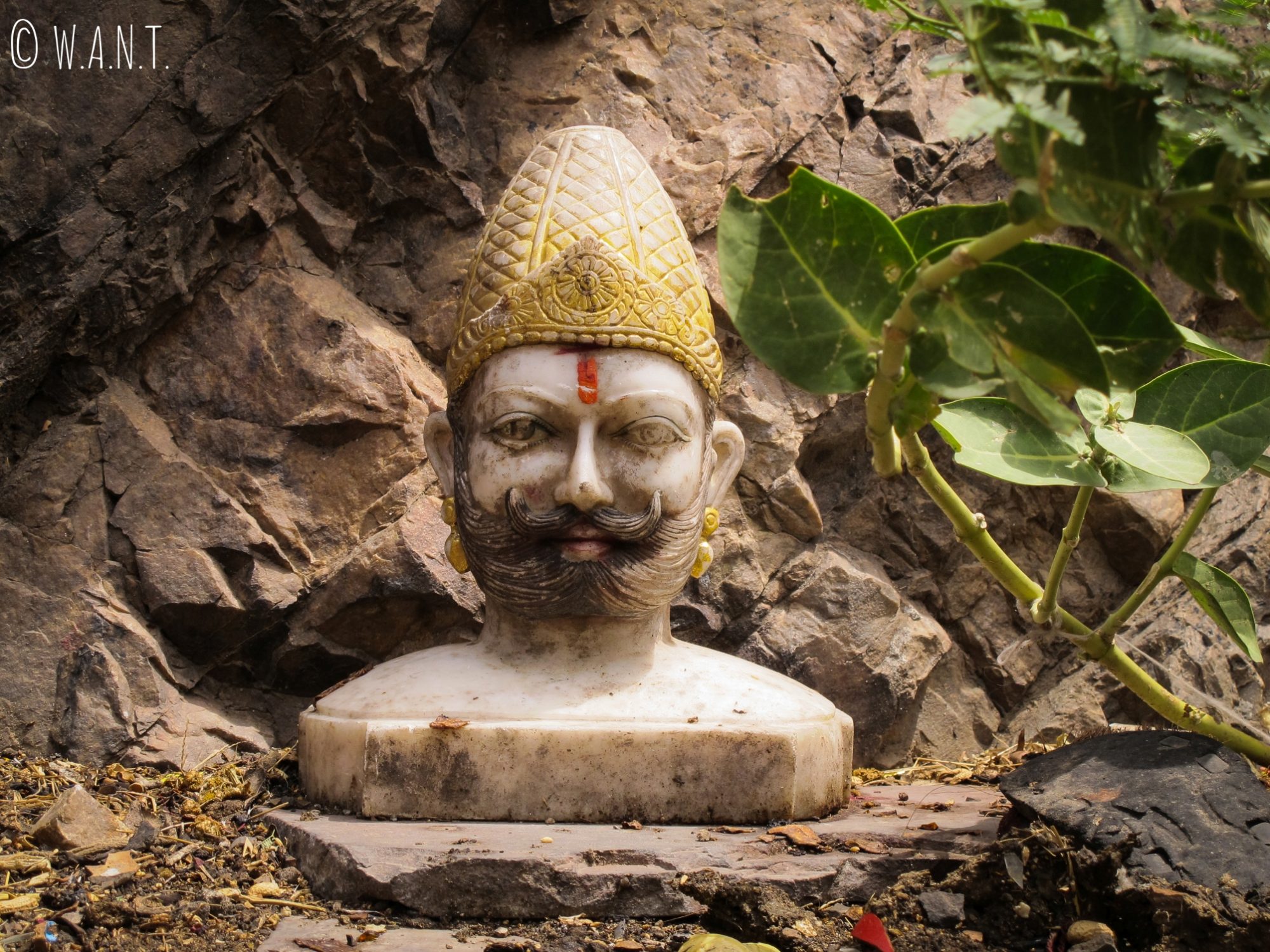 Buste découvert à flanc de montagne au Monkey temple de Jaipur