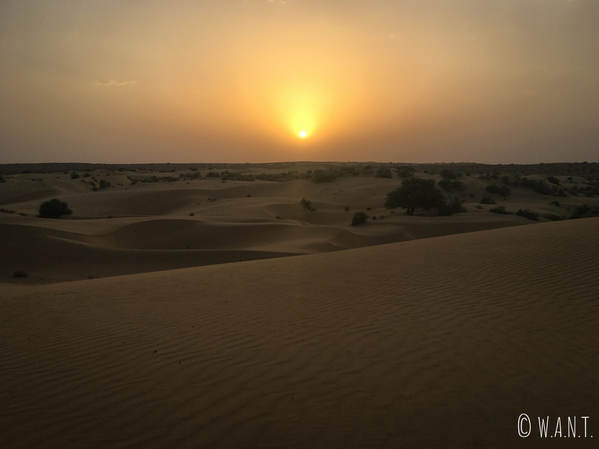 Coucher de soleil depuis le désert du Thar
