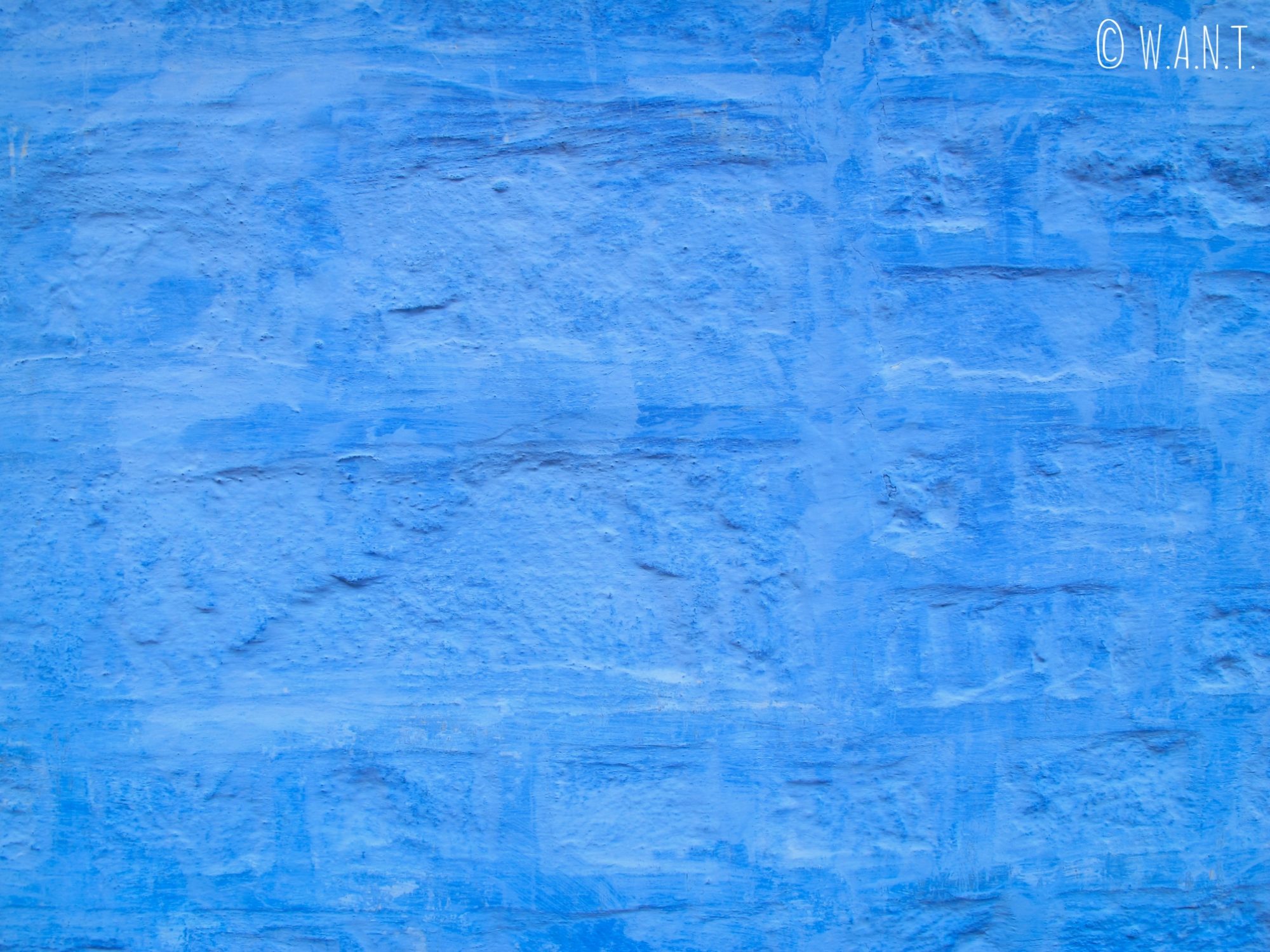 Façade bleue des maisons de Jodhpur, appelée aussi la cité bleue