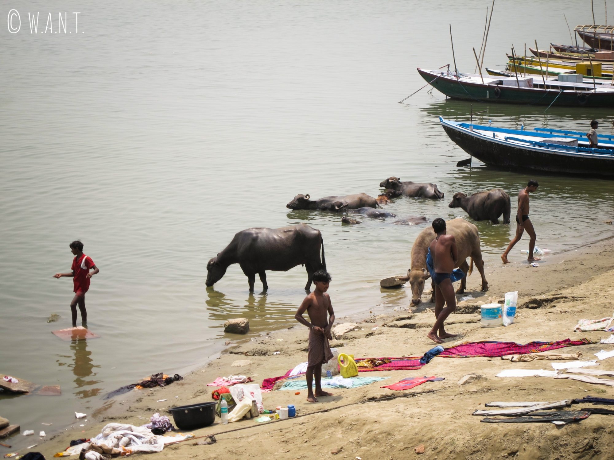 Le Gange rythme la vie quotidienne des habitants de Varanasi