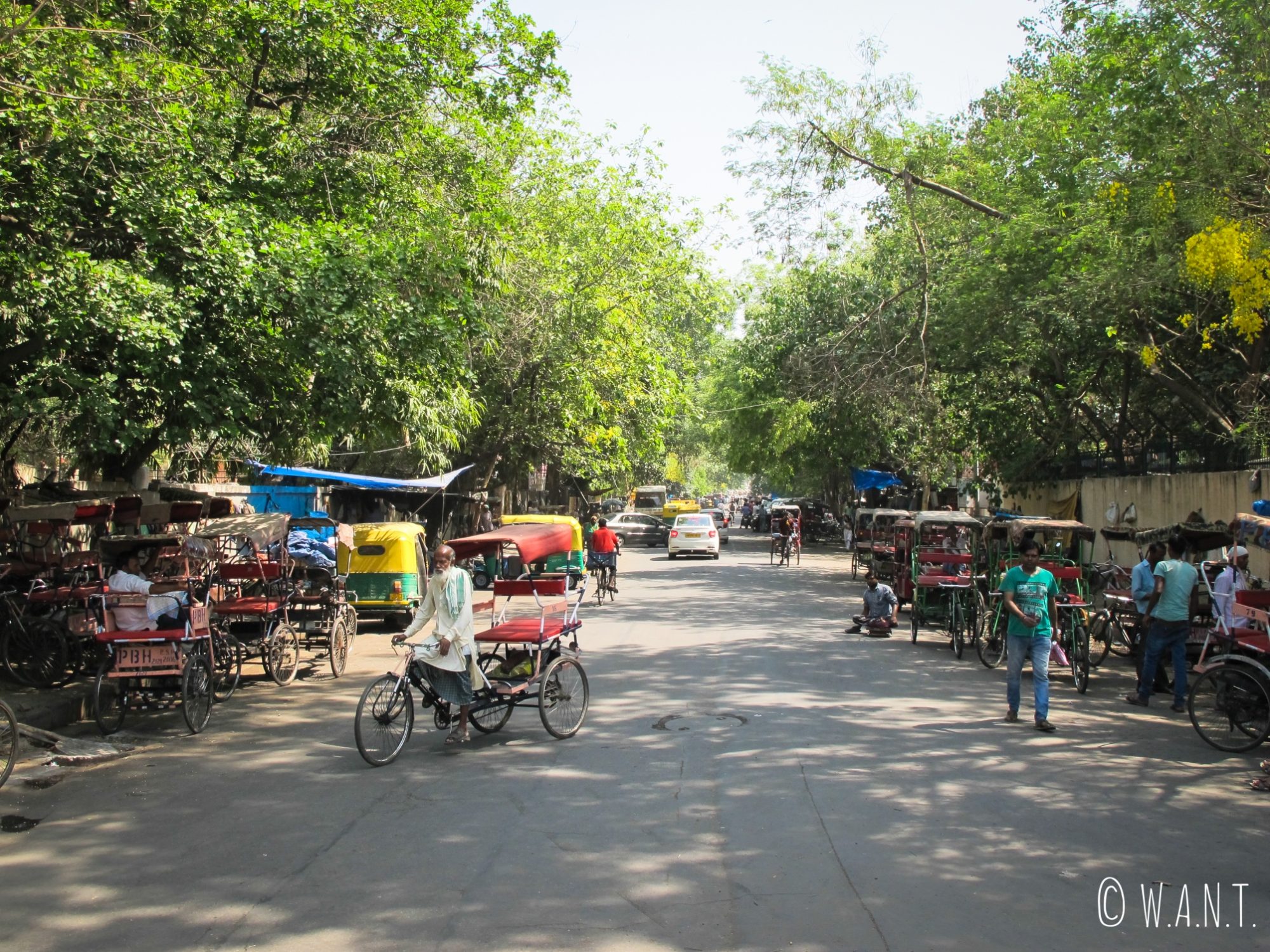 Le rickshaw est le moyen de transport traditionnel de Delhi