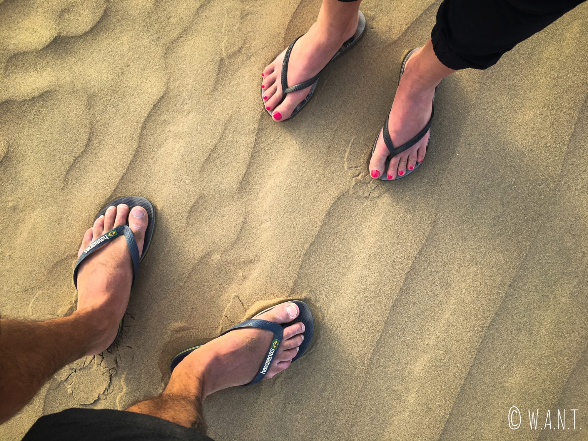 Nous posons enfin nos pieds dans le sable du désert du Thar