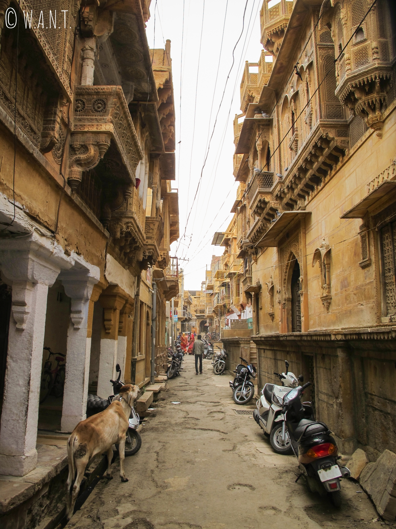 Petit rues dans le quartier des Havelis de Jaisalmer