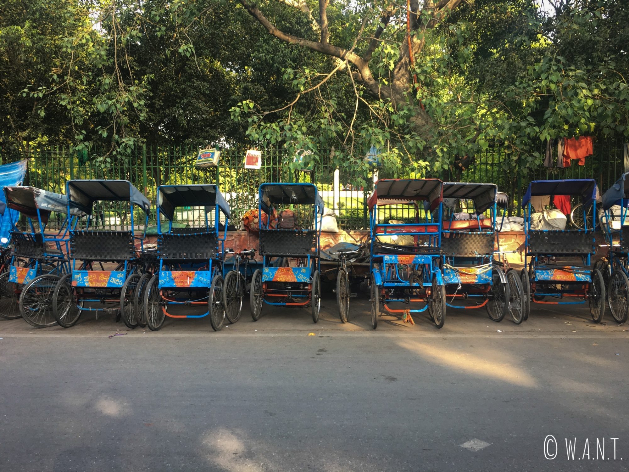 Rickshaws dans les rues de Delhi