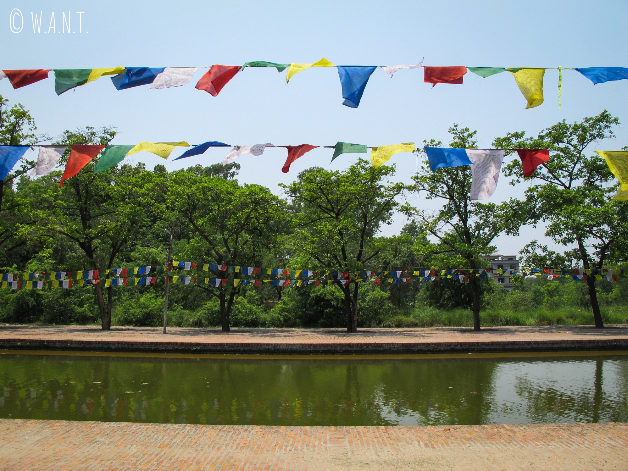 Il est possible de naviguer sur le canal central des jardins de Lumbini