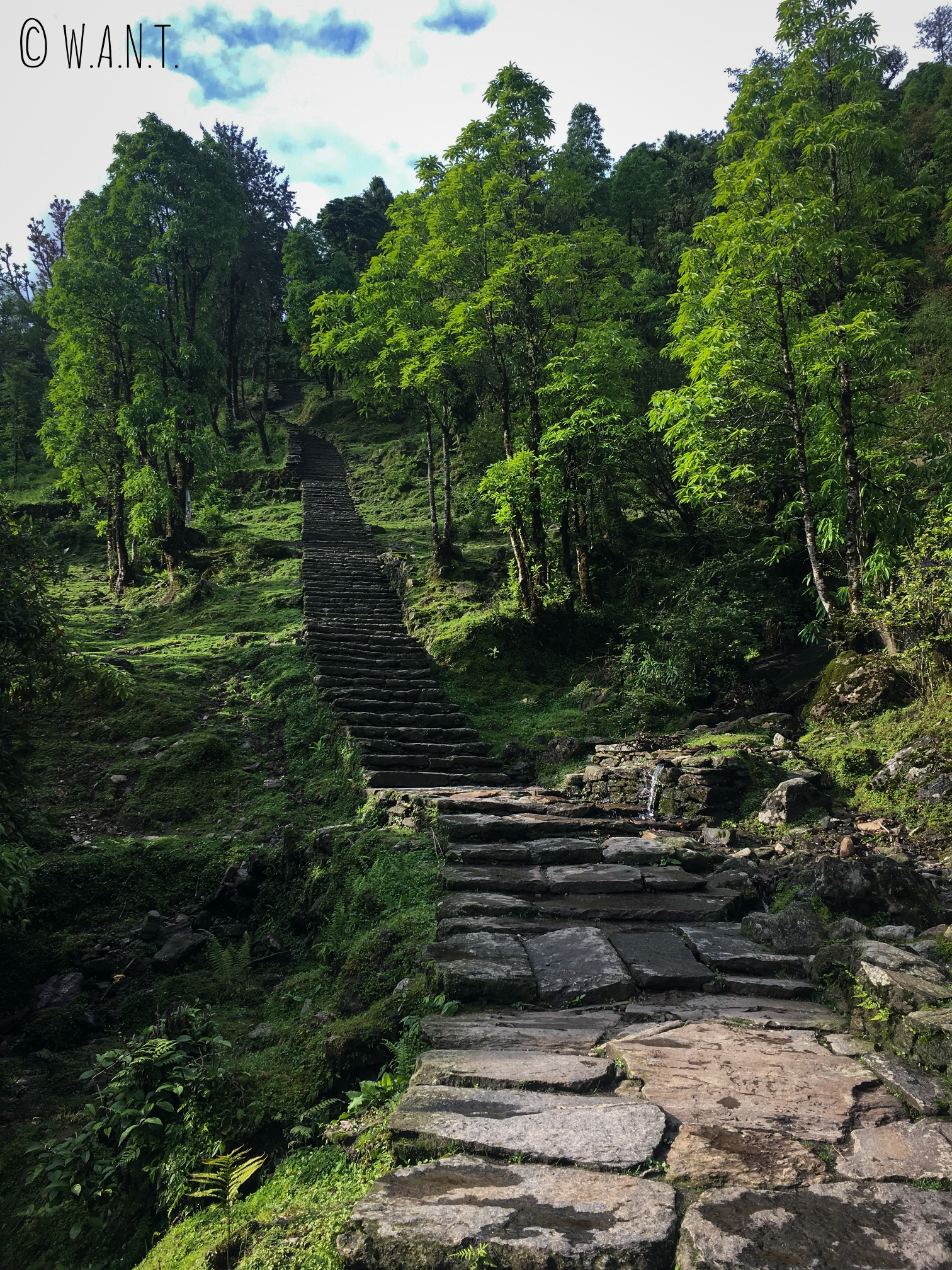 Le santuaire des Annapurnas est parsemé de marches de tout son long, et cela est parfois très décourageant !