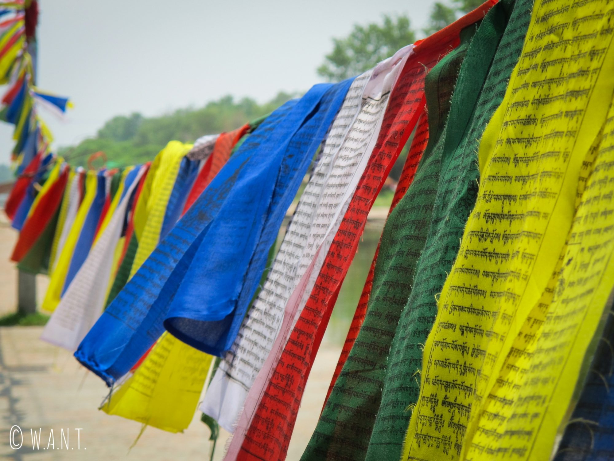Les drapeaux de prières flottent au vent autour du canal des jardins de Lumbini