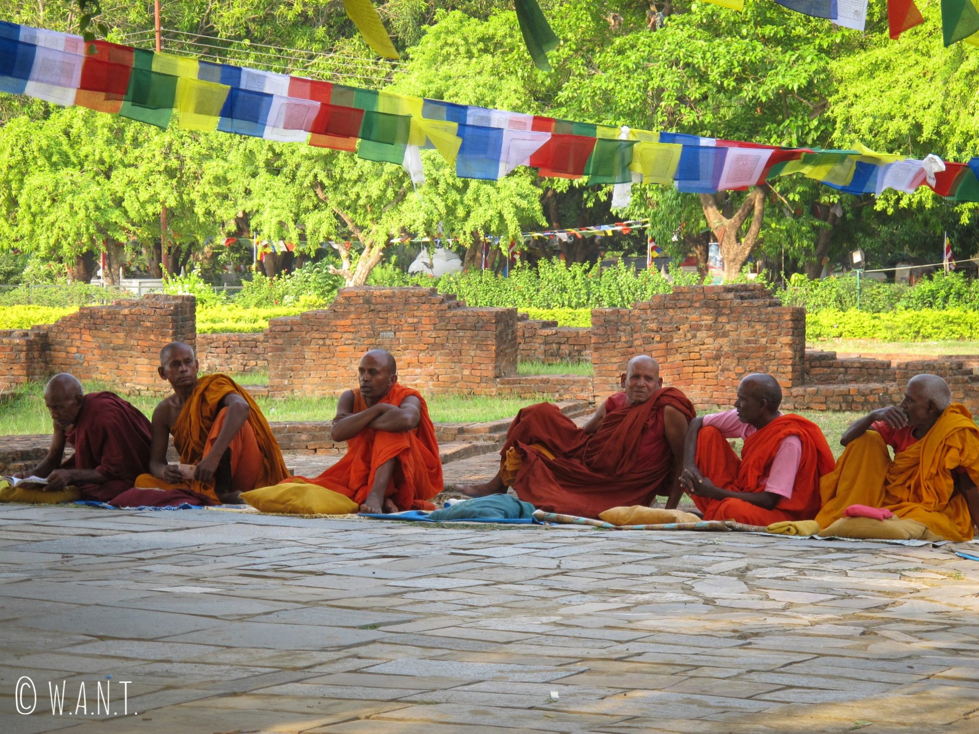 Les moines se regroupent autour du Bodhi Tree à Lumbini