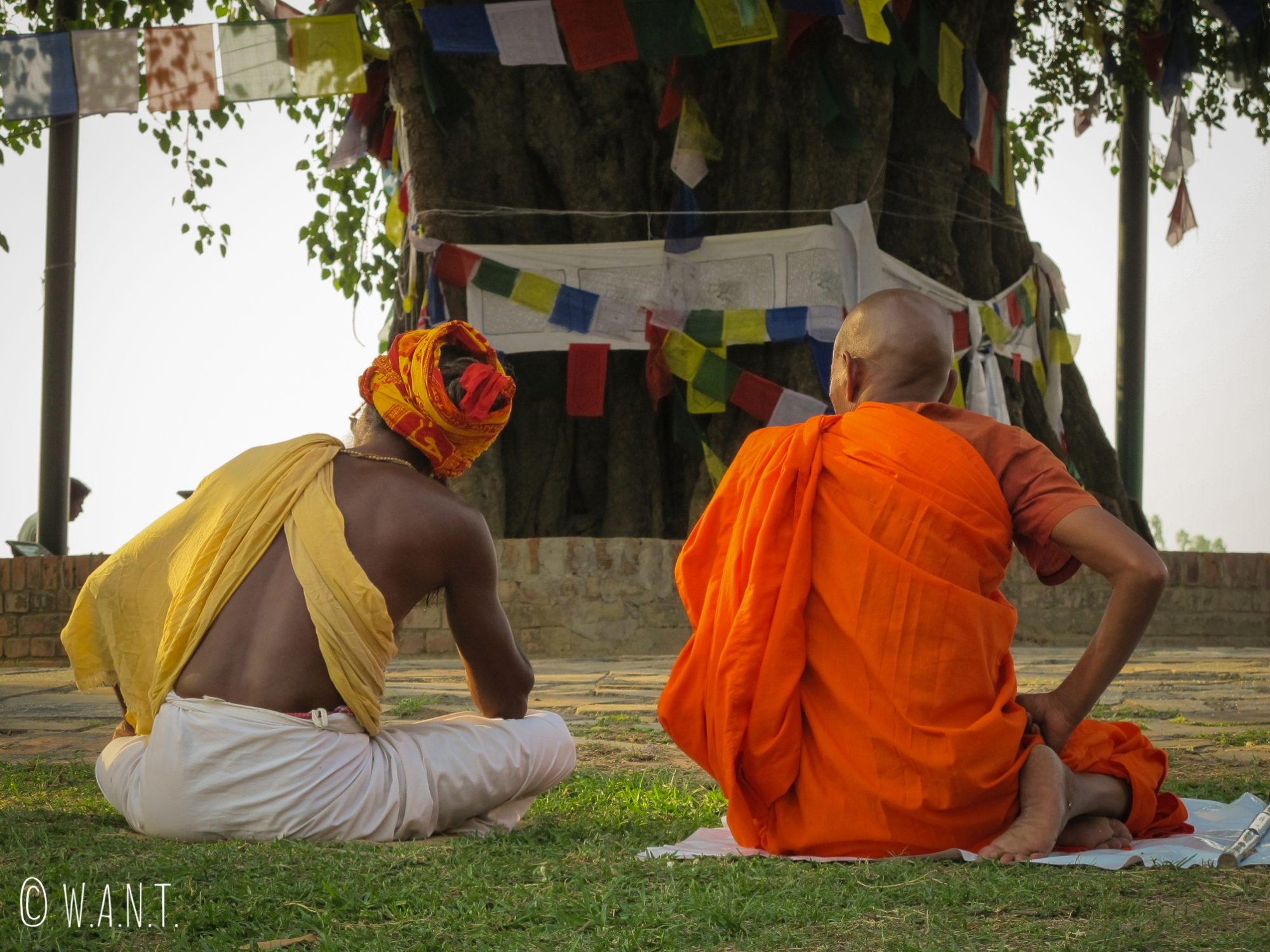 Les moines sont en pleine méditation autour du Bodhi Tree du temple Maya Devi