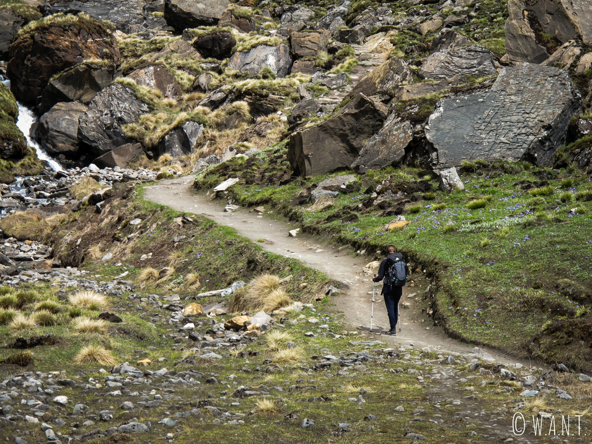 Marion sur les chemins rocailleux de l'Annapurna