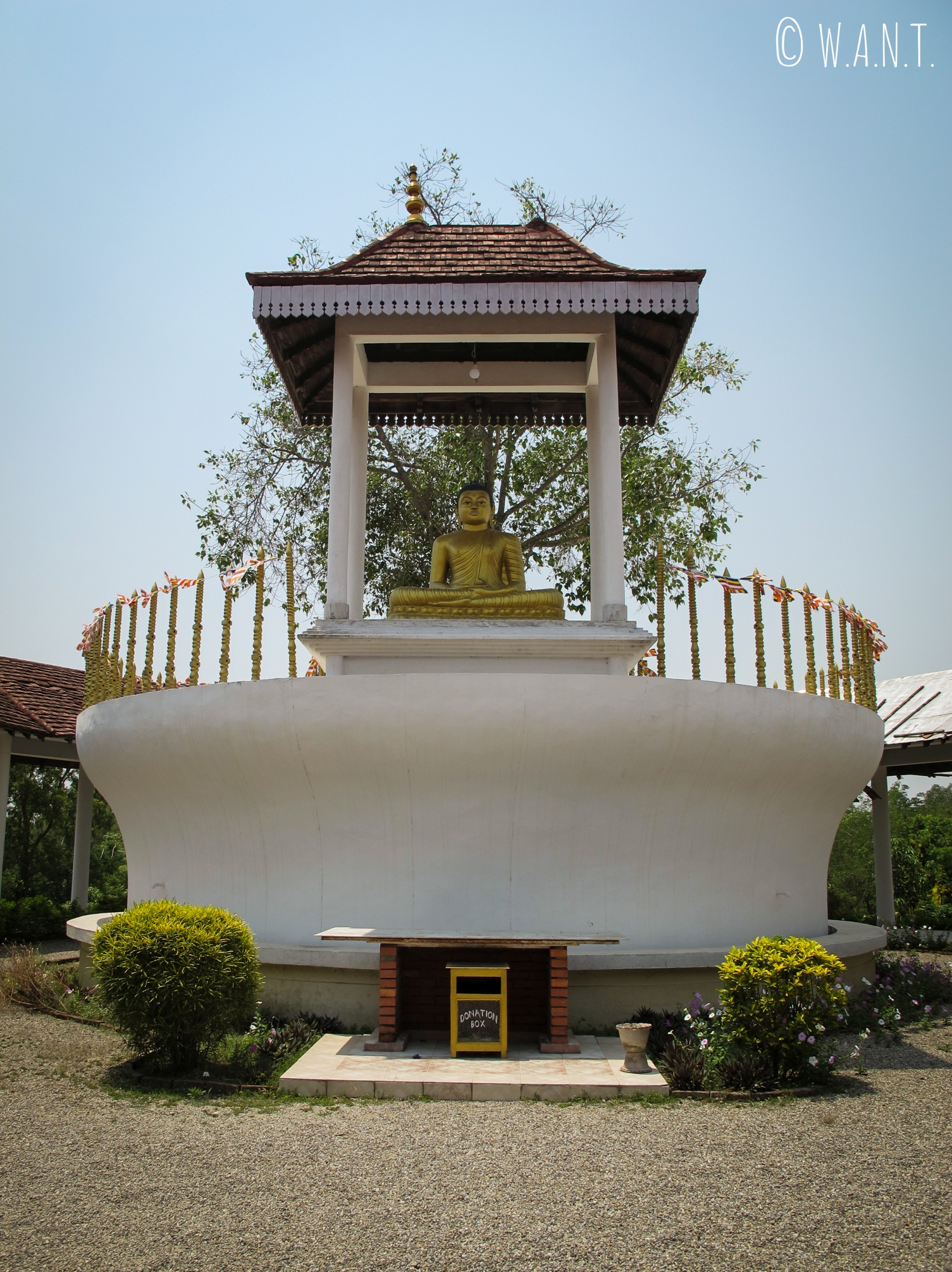 Statue de Bouddha au monastère du Sri Lanka de Lumbini