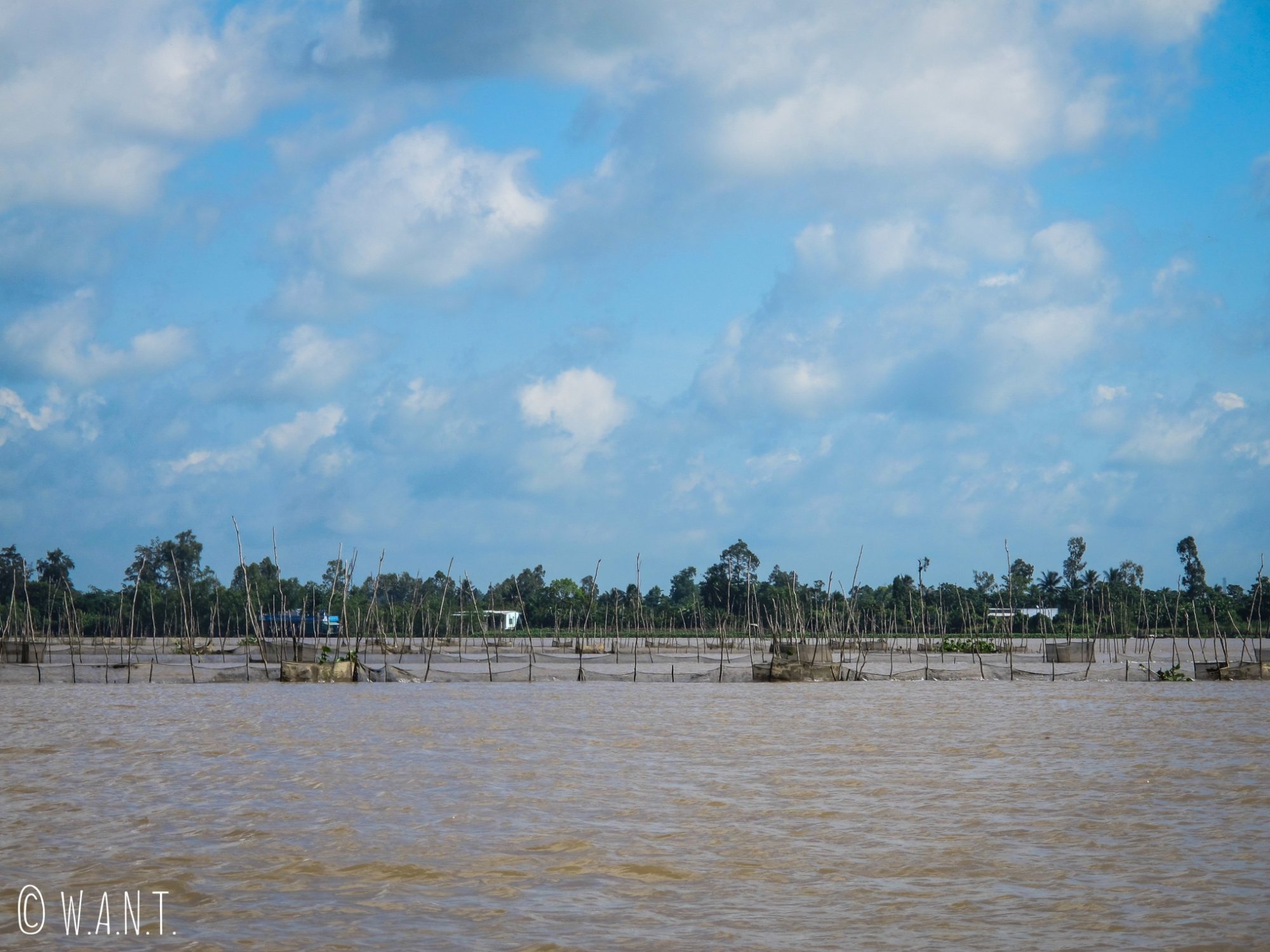 Bassin de pisciculture dans le delta du Mékong