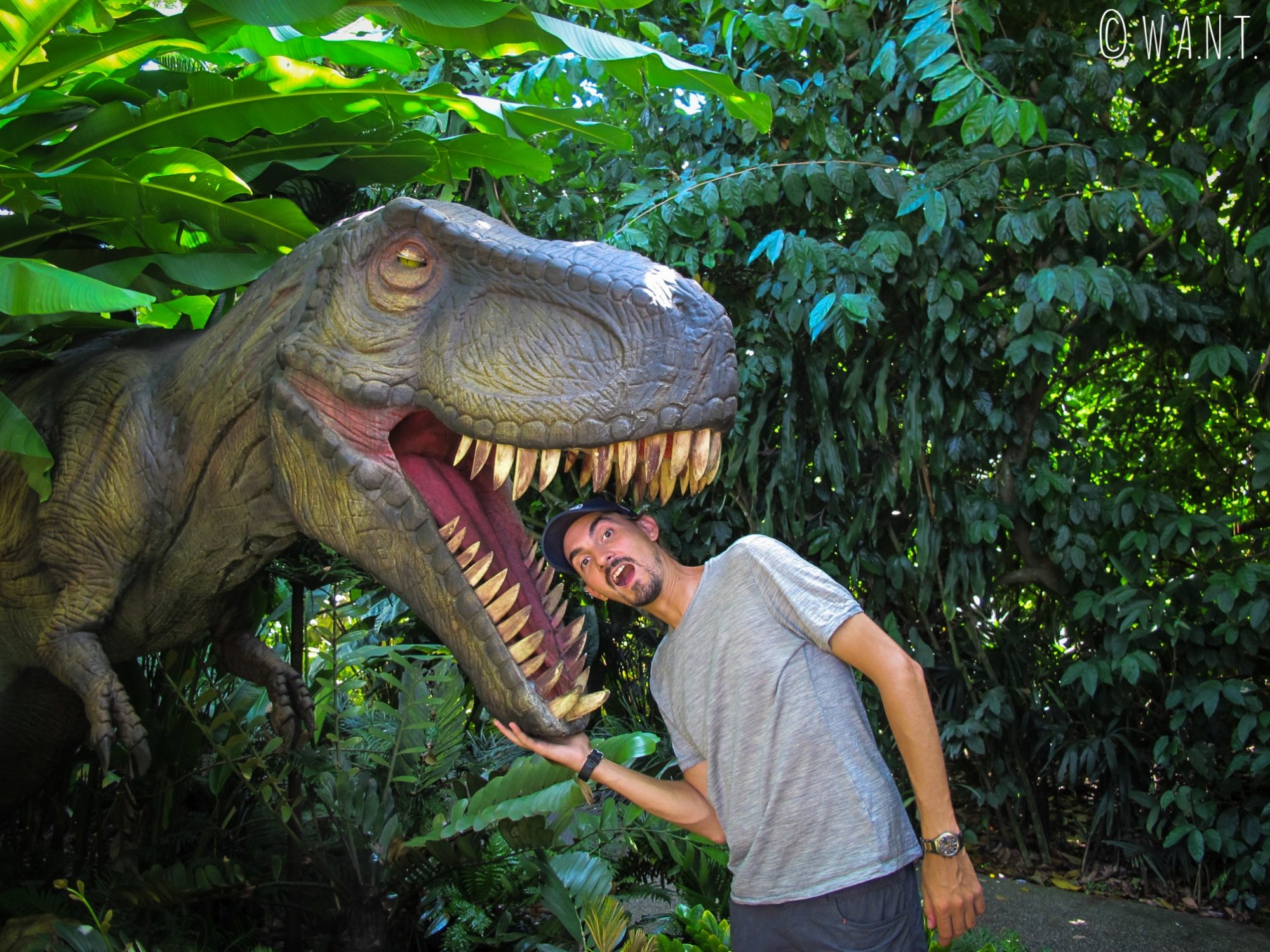 Benjamin s'est trouvé un nouvel ami au zoo de Singapour