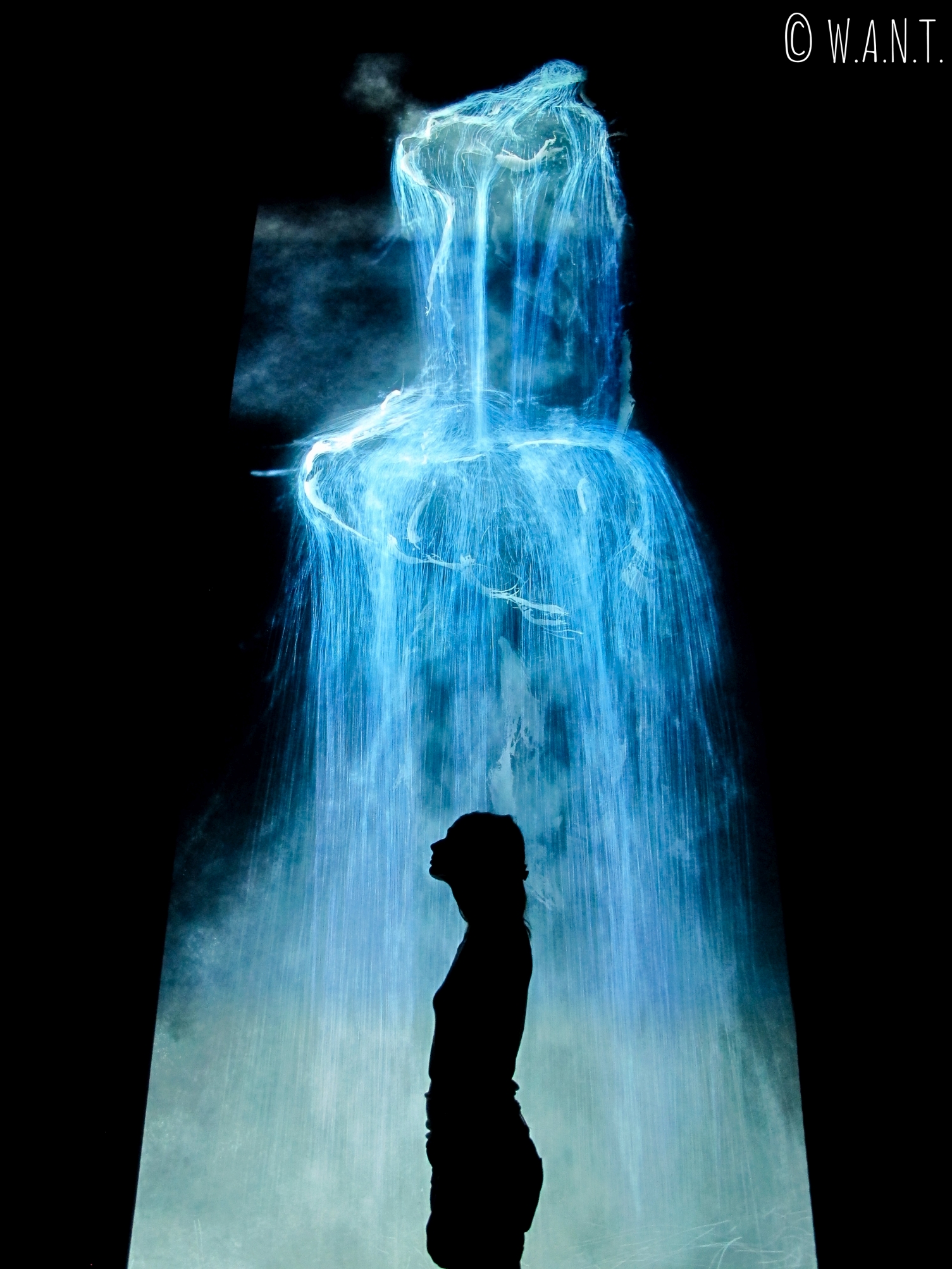Marion devant l'oeuvre Universe of Water Particles présentée à l'exposition Future World de l'ArtScience Museum