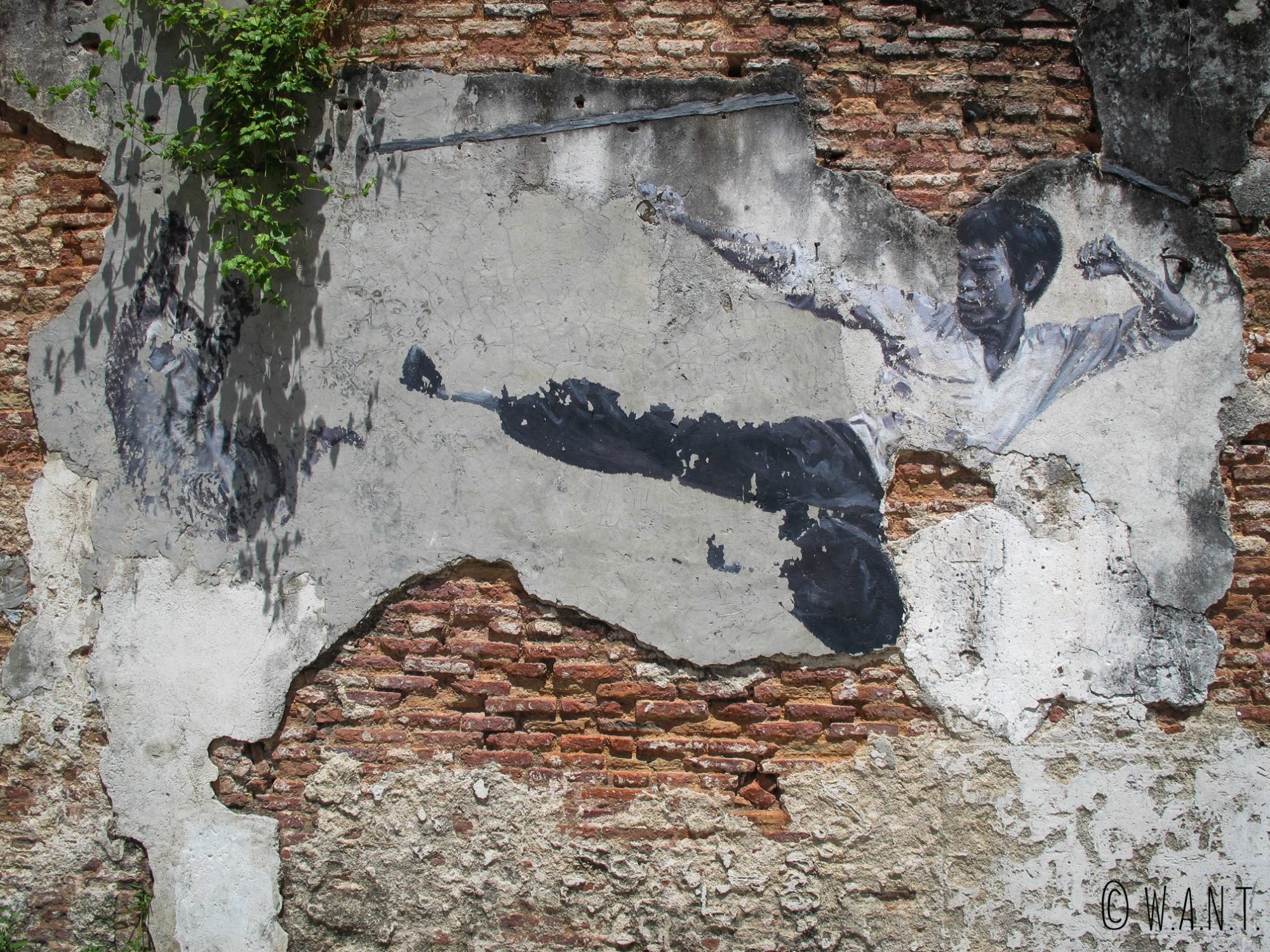 The real Bruce Lee would never do this, art de rue dans Georgetown à Penang