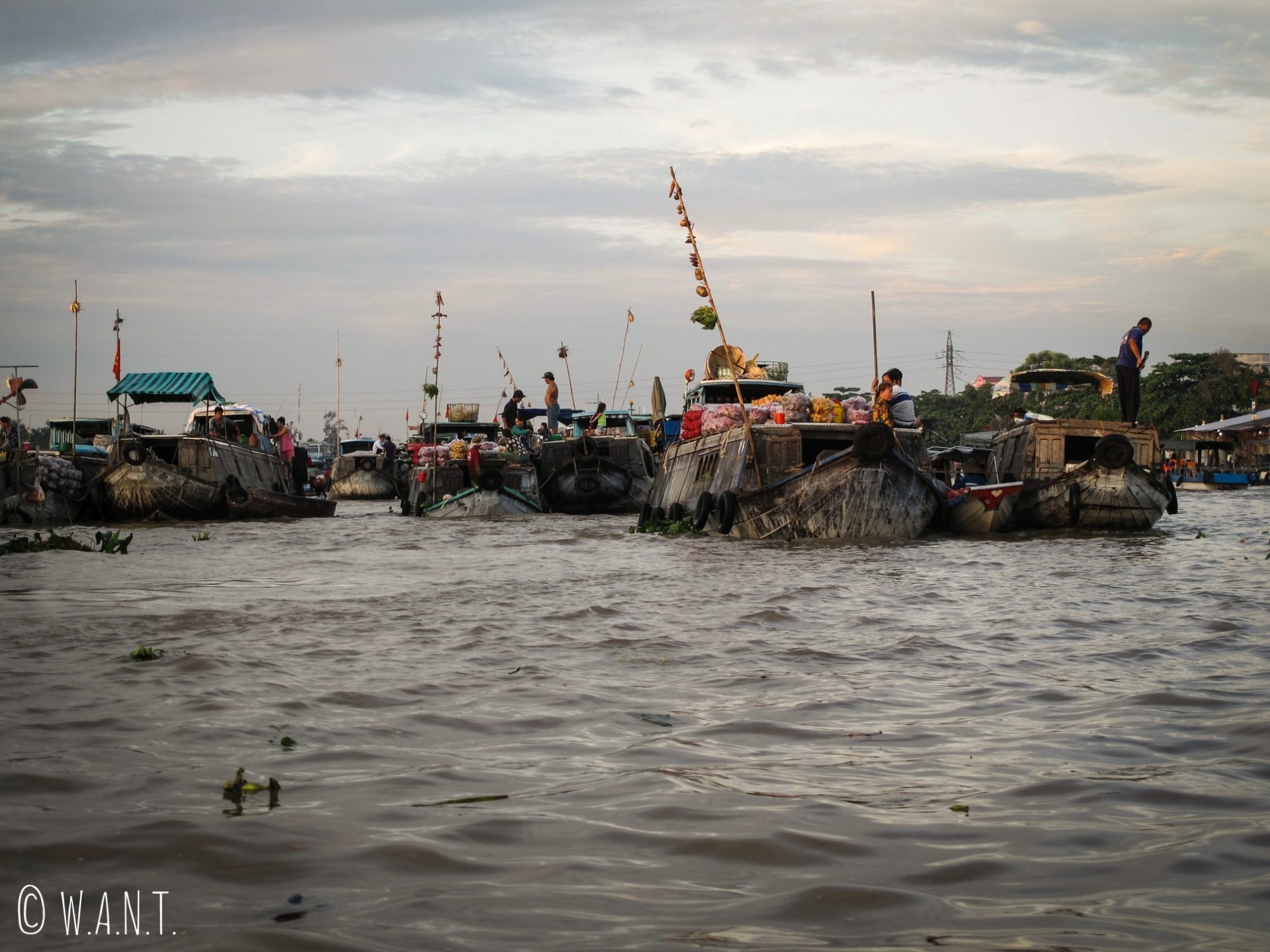 Vue sur le marché flottant de Cai Rang dans le delta du Mékong
