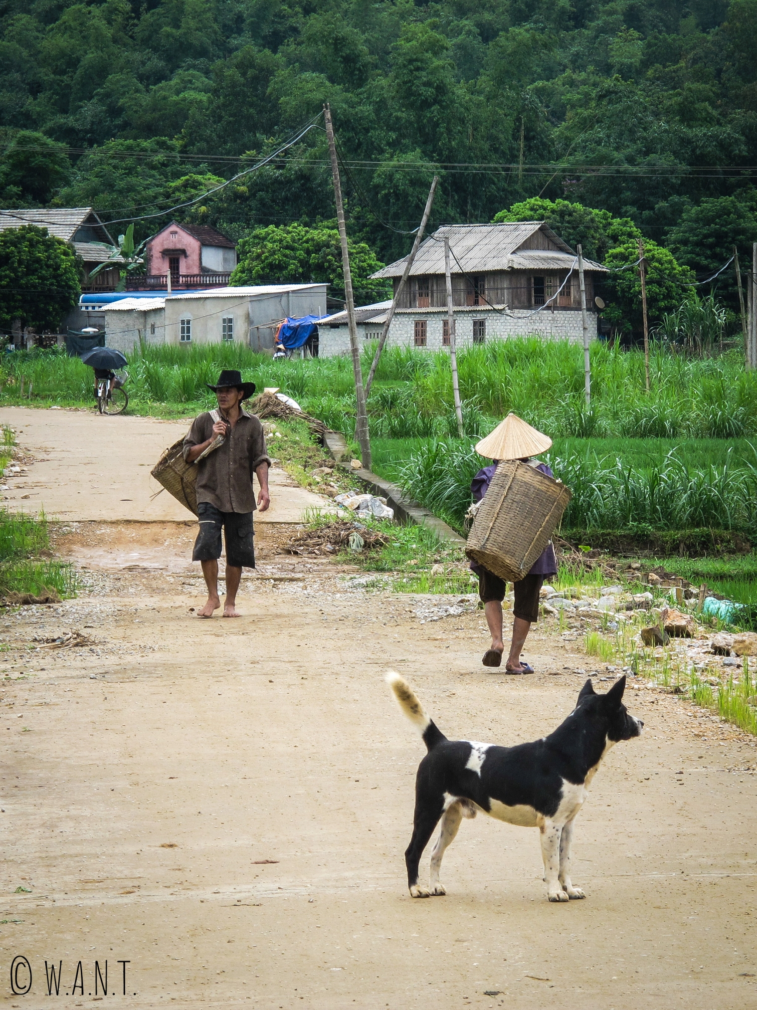 Agriculteurs partant au travail à Mai Chau