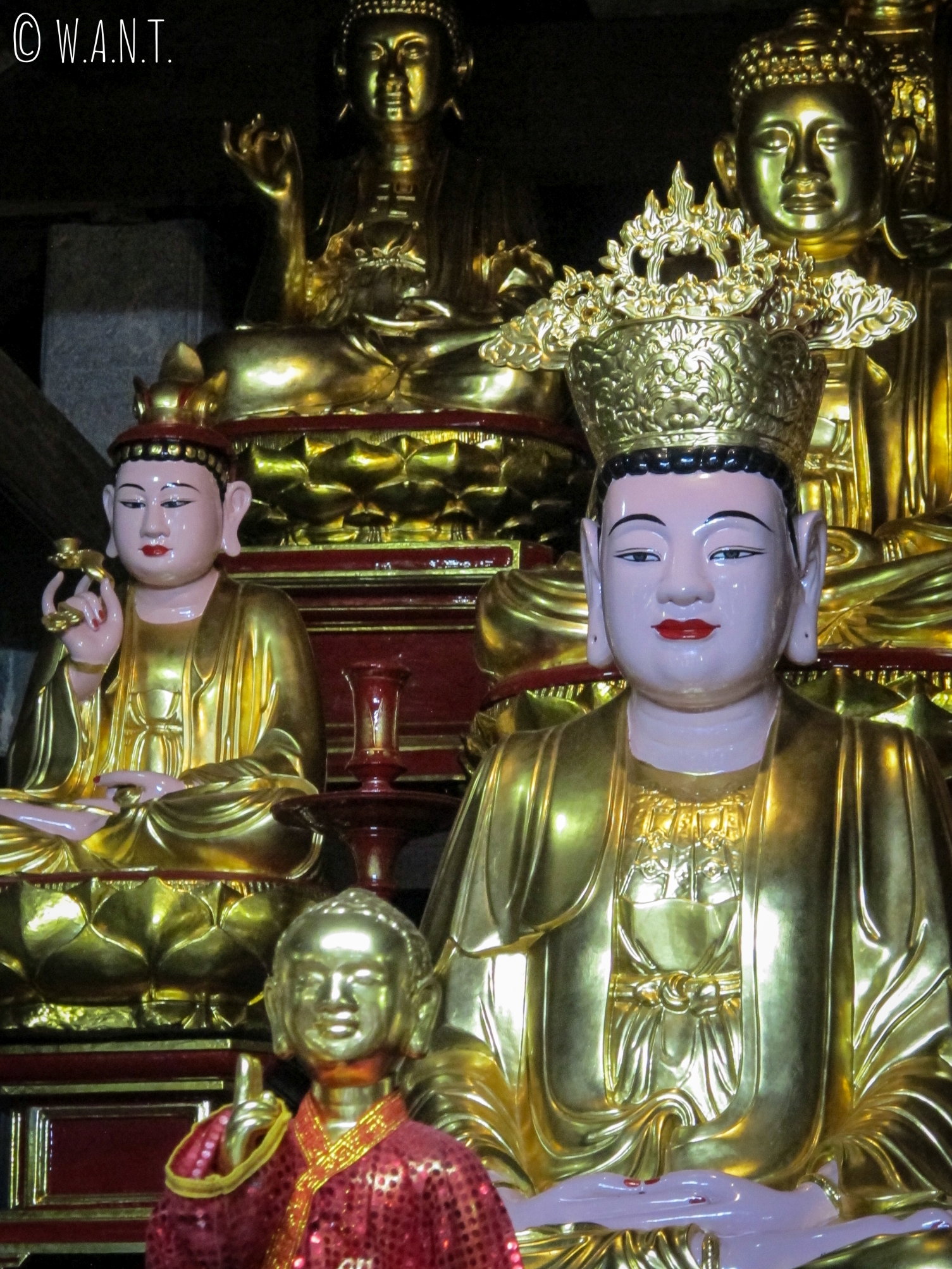 Bouddhas à l'intérieur de la pagode Bich Dong de Tam Coc