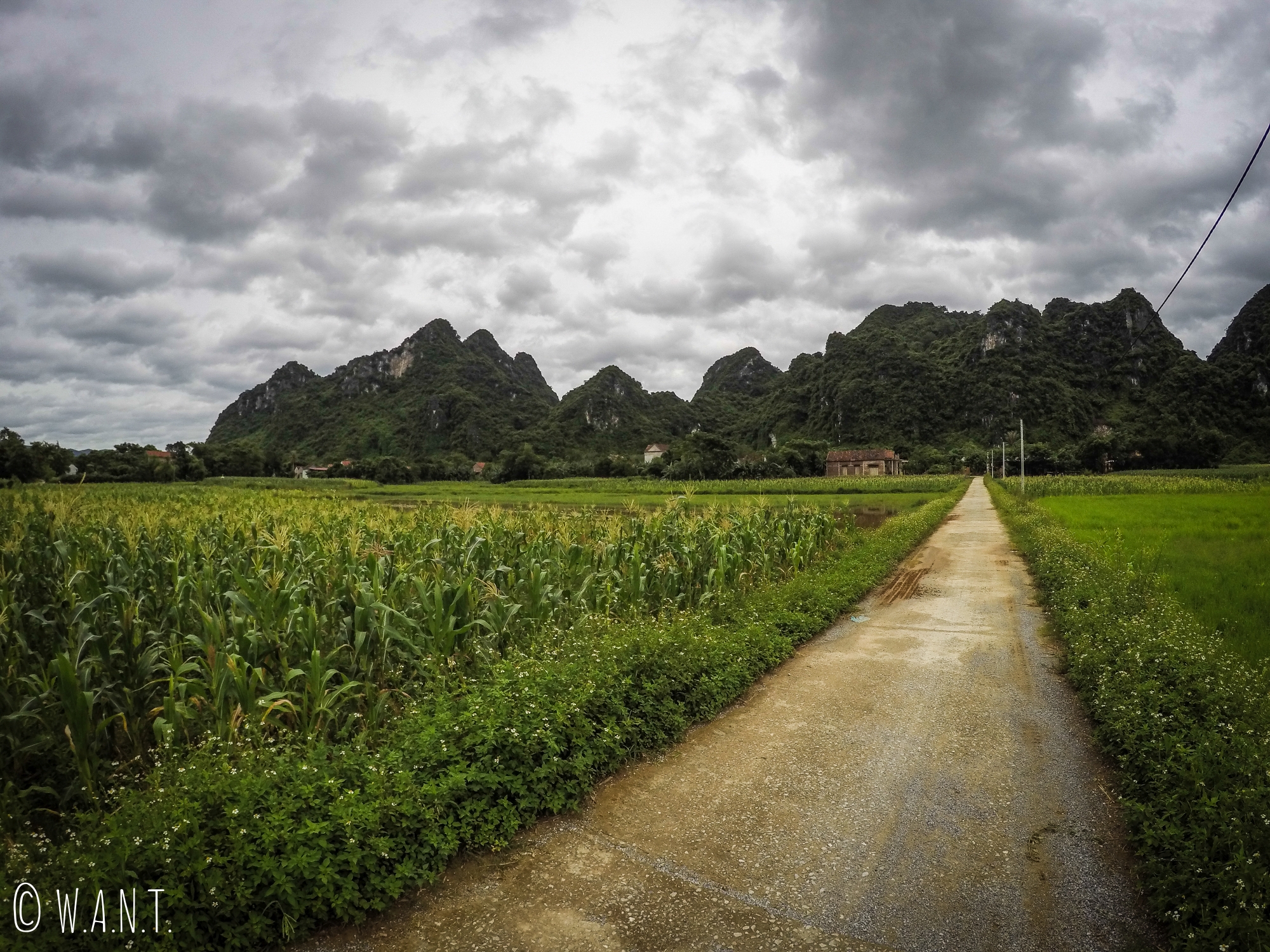 Chemin, cultures et pics karstiques à Phong Nha