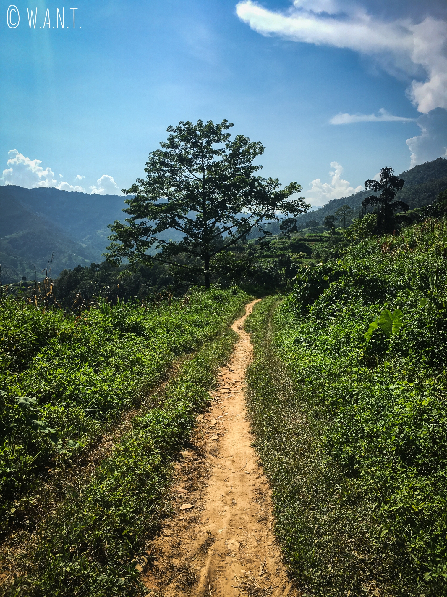 Chemin de terre faisant office de route pour rejoindre le village de Nam Ban