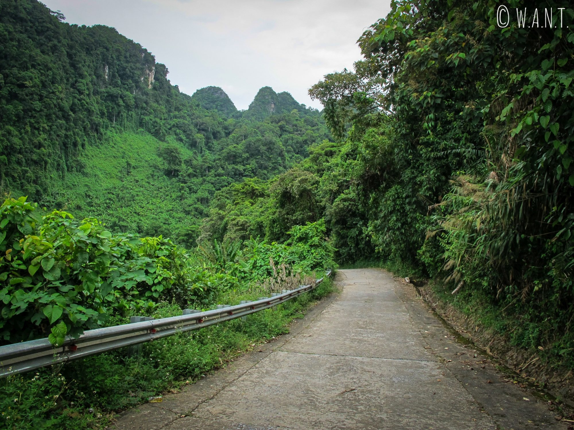 Chemin à l'intérieur du parc national Phong Nha-Ke Bang