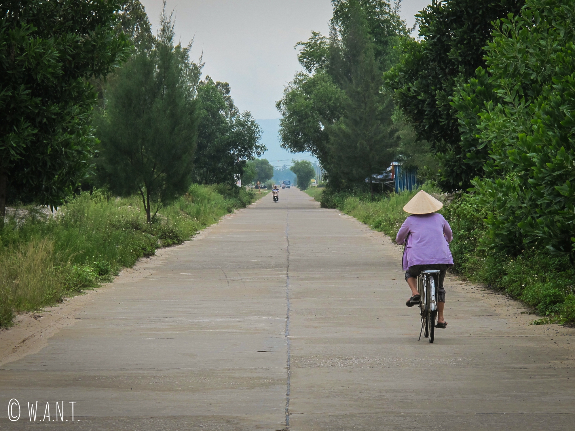 Femme en vélo dans le quartier de Duy Nghia de la région de Hoi An