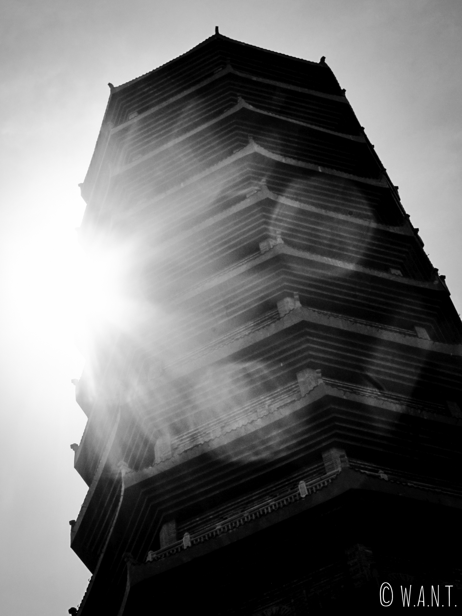 Gros plan du stupa Bao Thap en noir et blanc