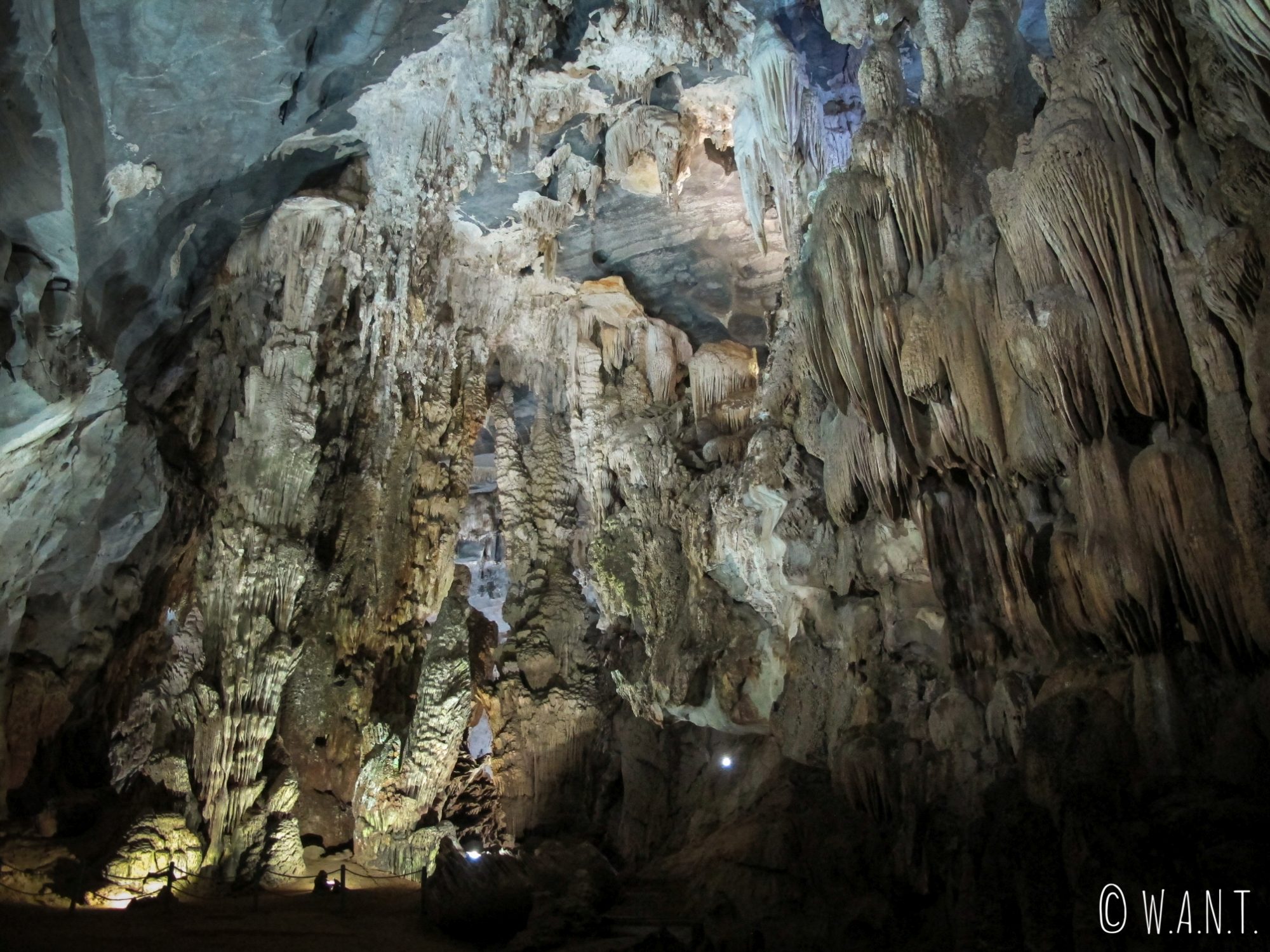 Gros plan sur les stalactites de la grotte de Phong Nha