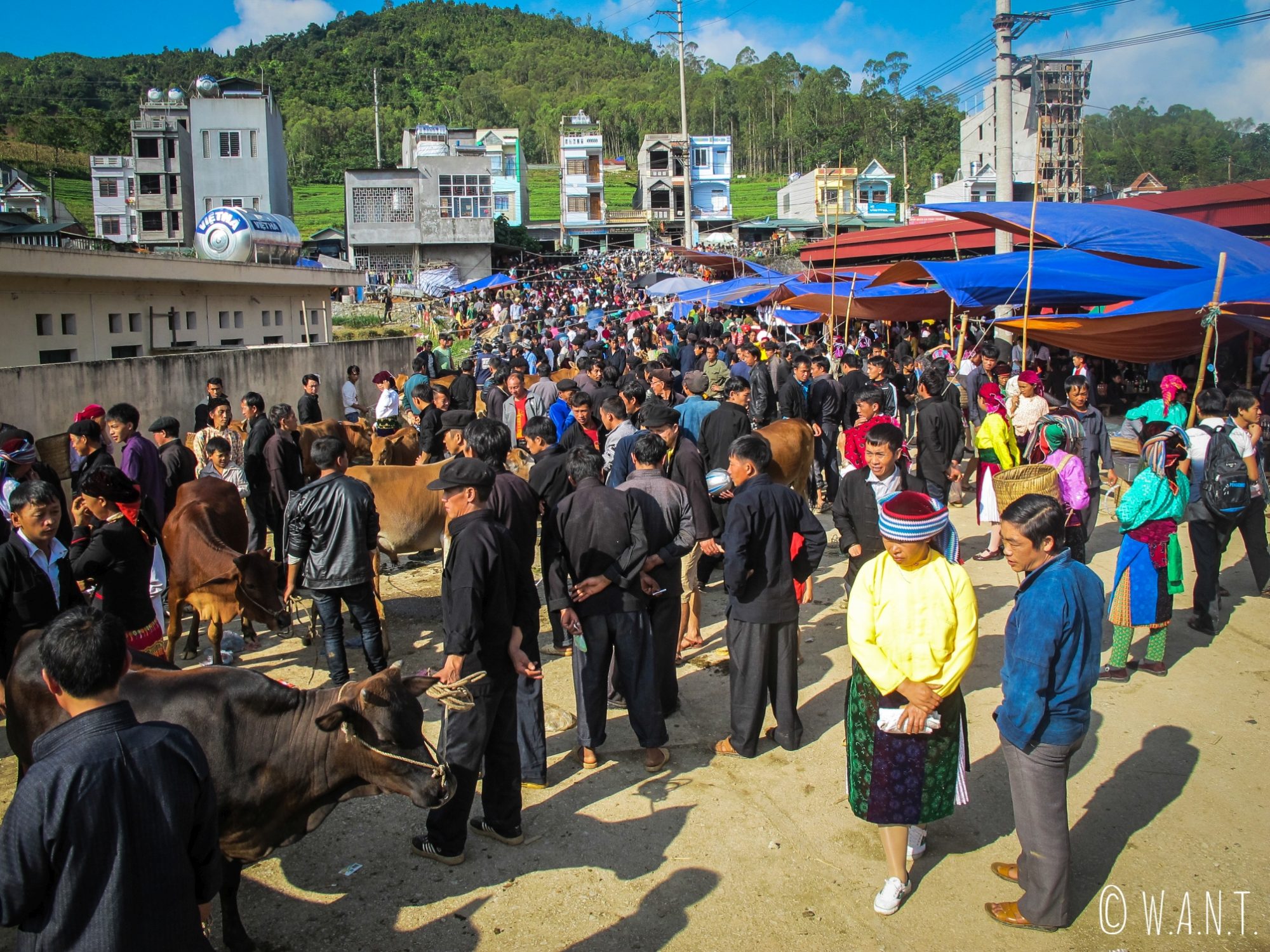 Le marché de Dong Van a lieu tous les dimanches