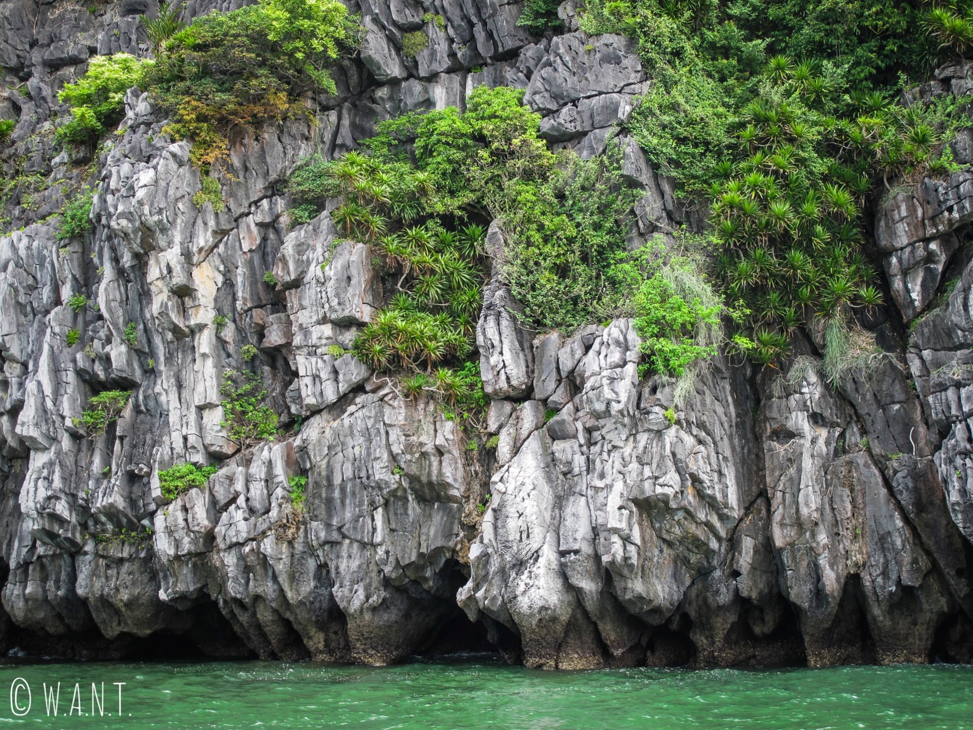 Le pic karstique rencontre l'eau de la Baie de Lan Ha