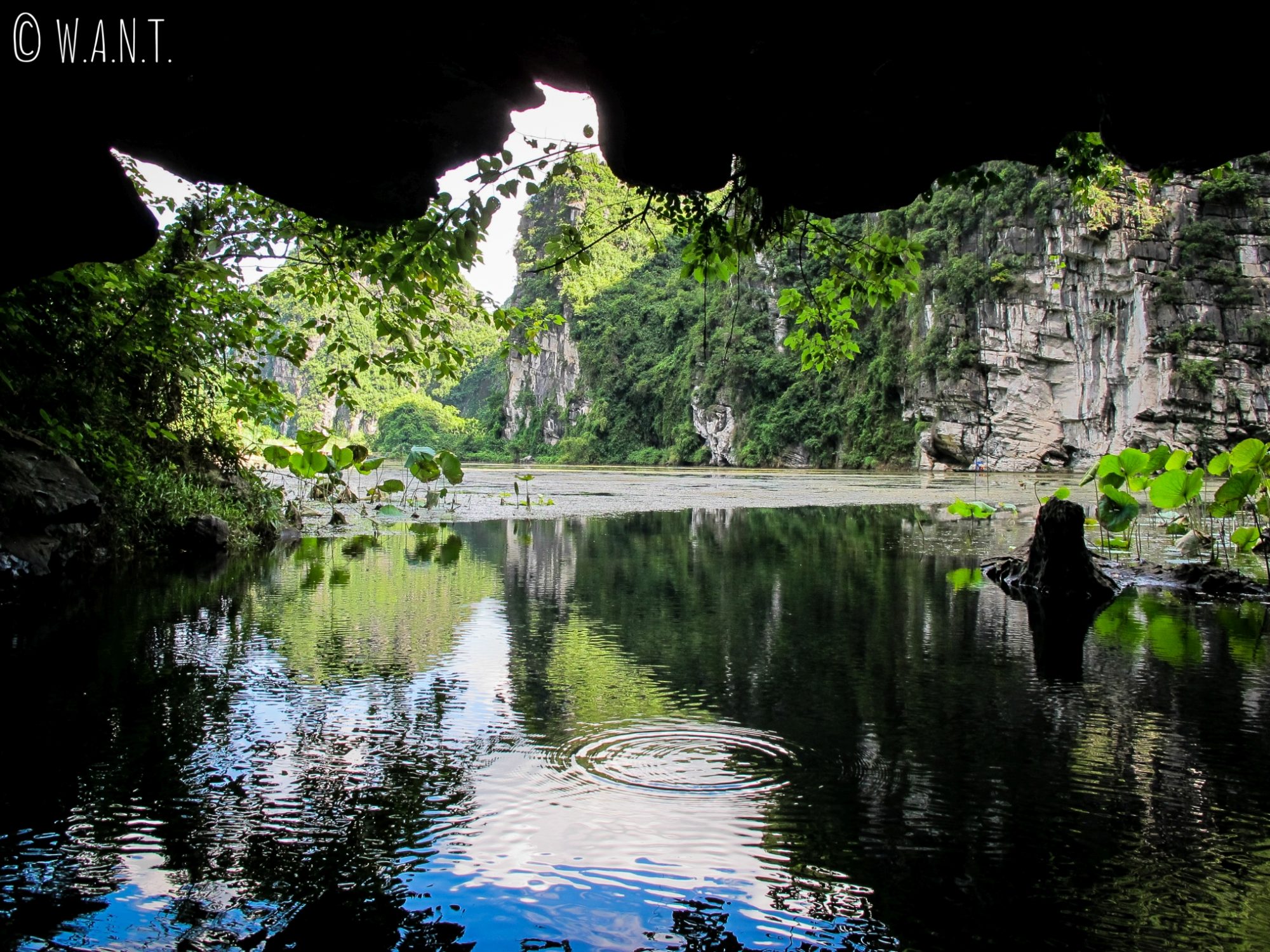 Lors de notre promenade en barque à Trang An, nous avons visité des grottes
