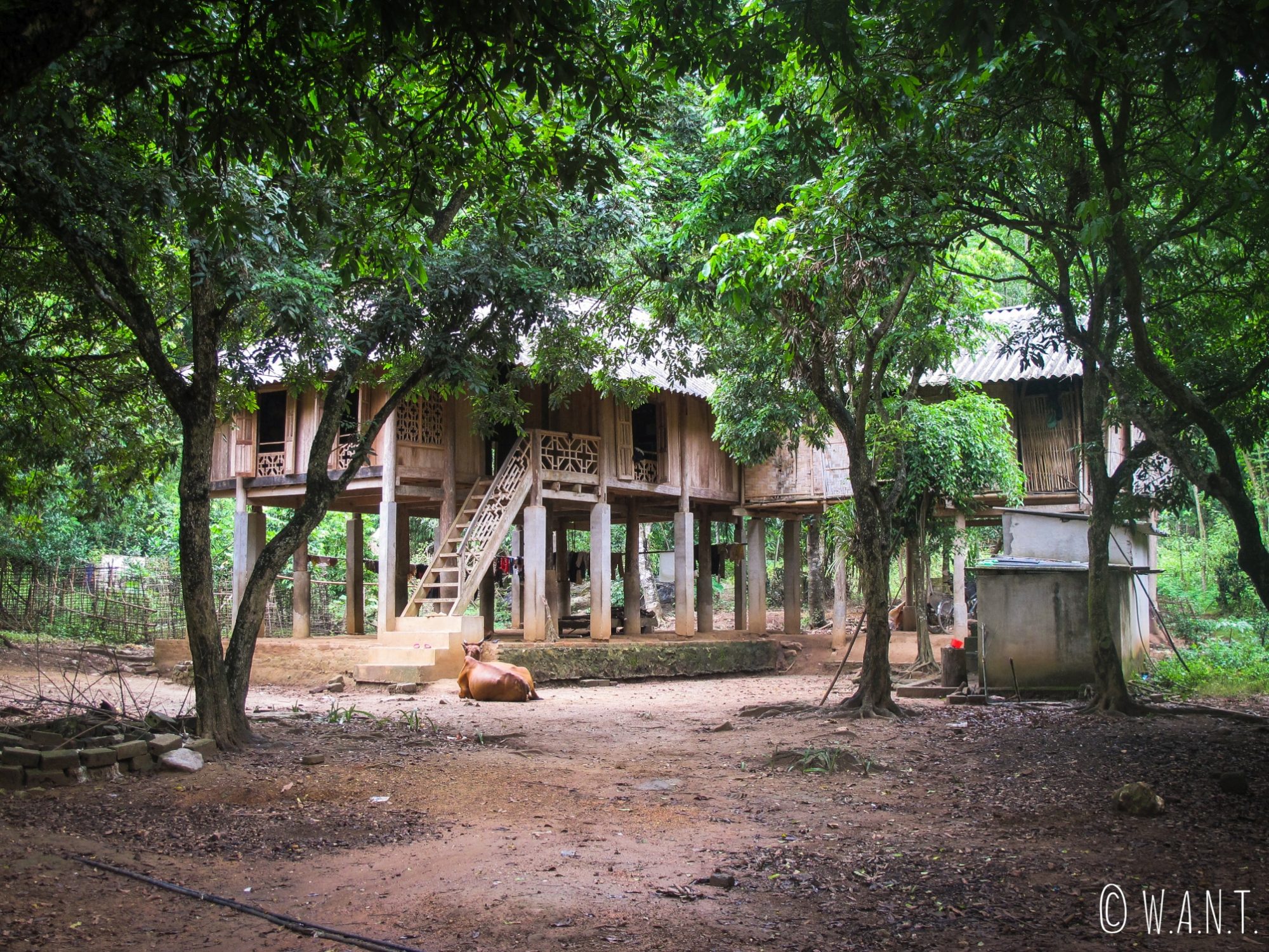 Maison sur pilotis dans les villages de Mai Chau
