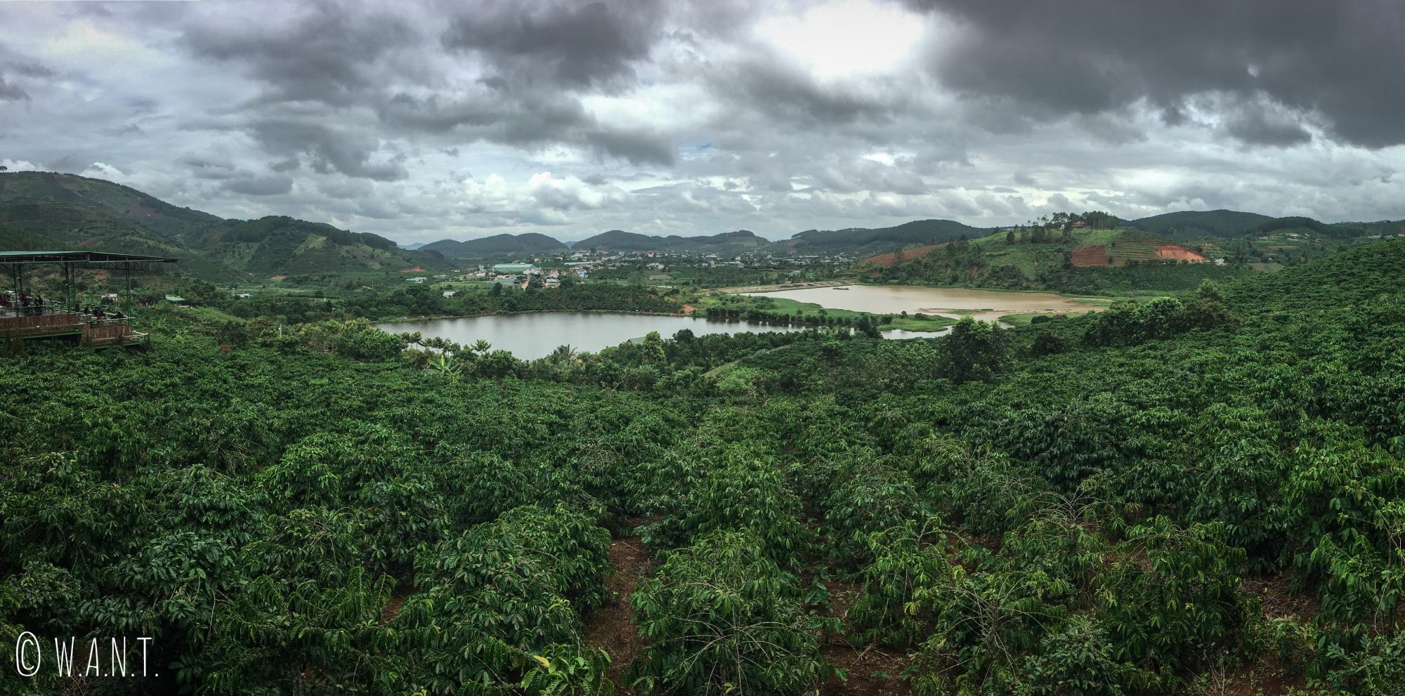 Panorama sur la plantation de café du Me Linh Coffee Garden près de Da Lat