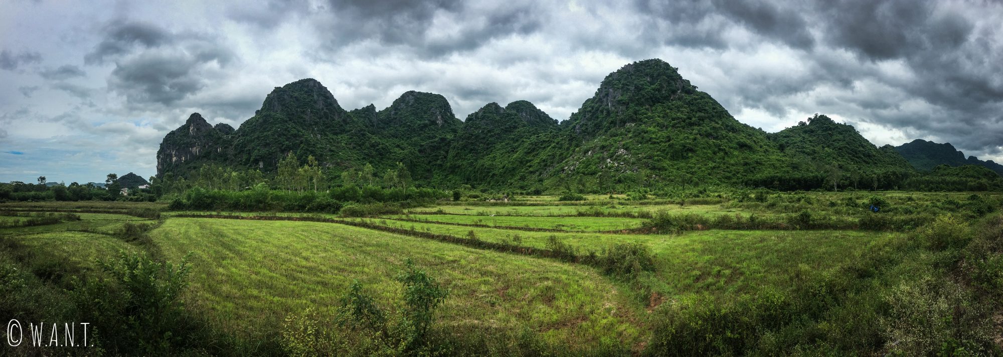 Panorama sur les pics karstiques du parc national de Phong Nha-Ke Bang