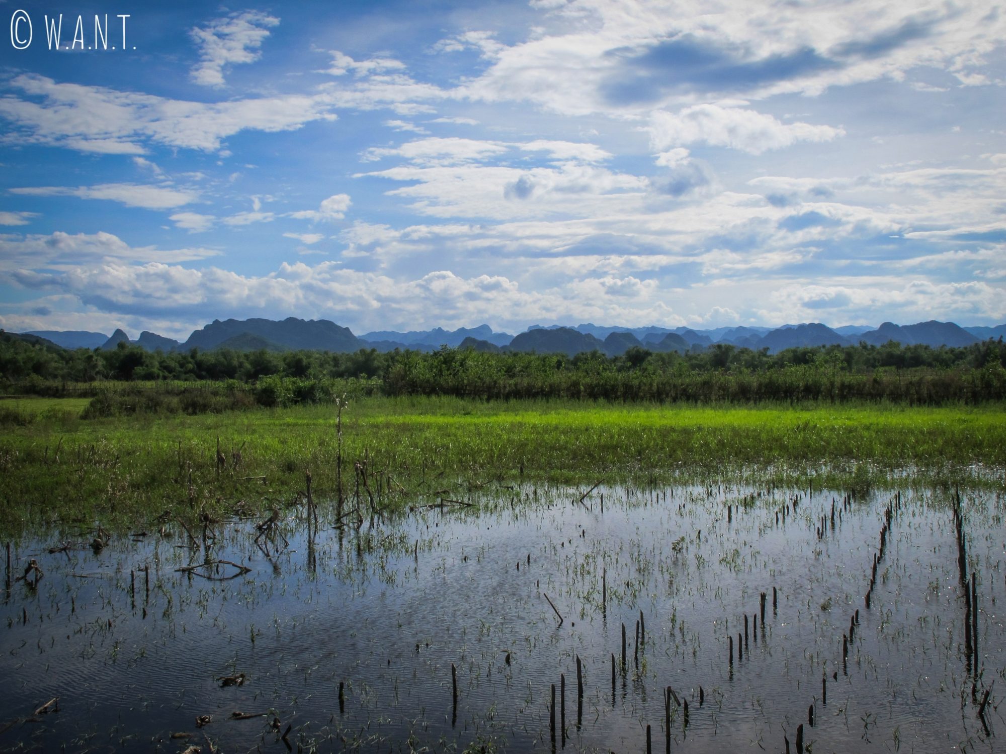 Paysage incroyable sur les pics karstiques du parc national Phong Nha-Ke Bang