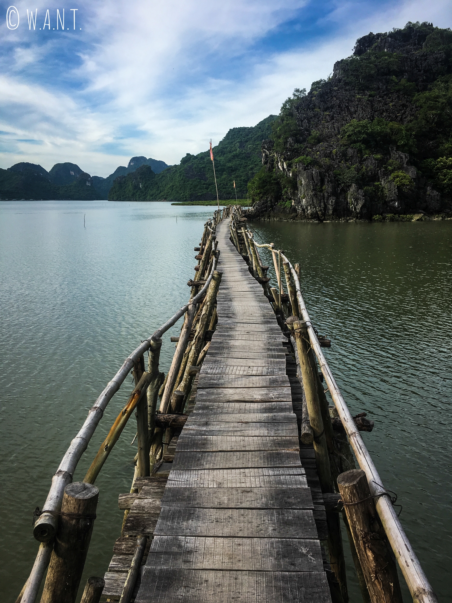 Pont en bambou sur le chemin de l’embarcadère Ben Pha Gia Luan à Cat Ba