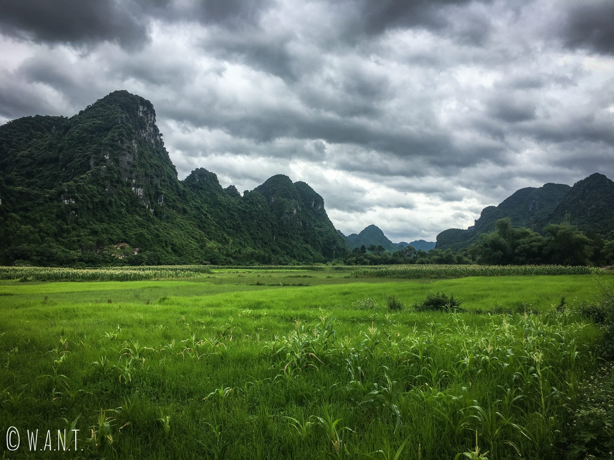Rizières et pics karstiques du parc national Phong Nha-Ke Bang