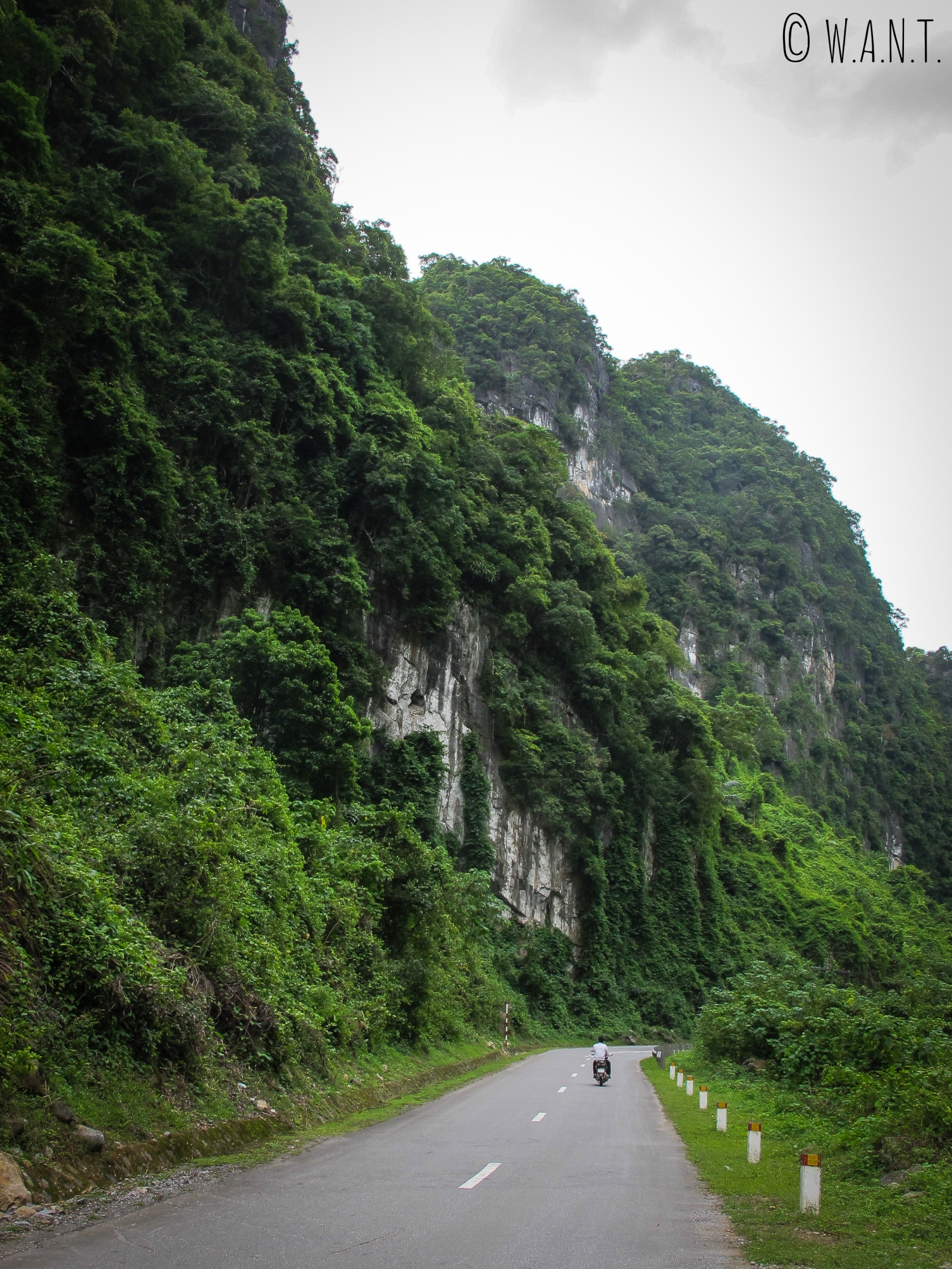 Route traversant le parc national Phong Nha-Ke Bang