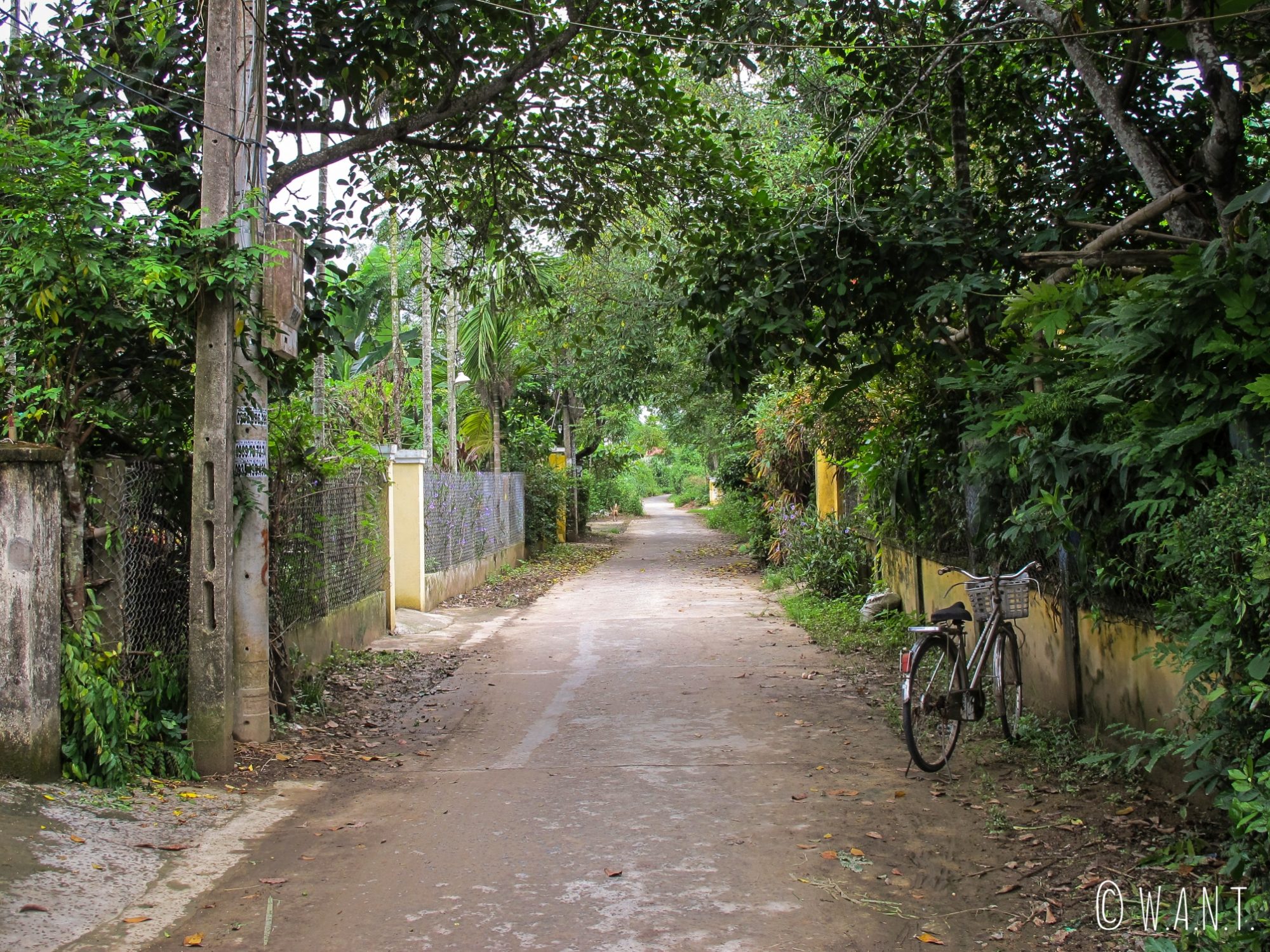 Rue déserte de l'île de Cam Kim proche de Hoi An