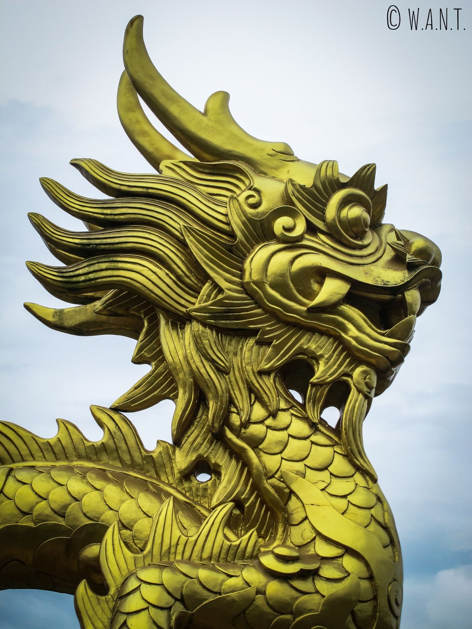 Sculpture de dragon dans la Citadelle de Hué