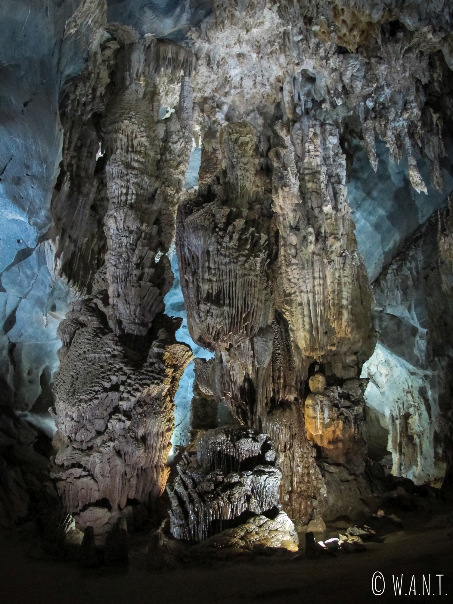 Stalactites dans la grotte de Phong Nha