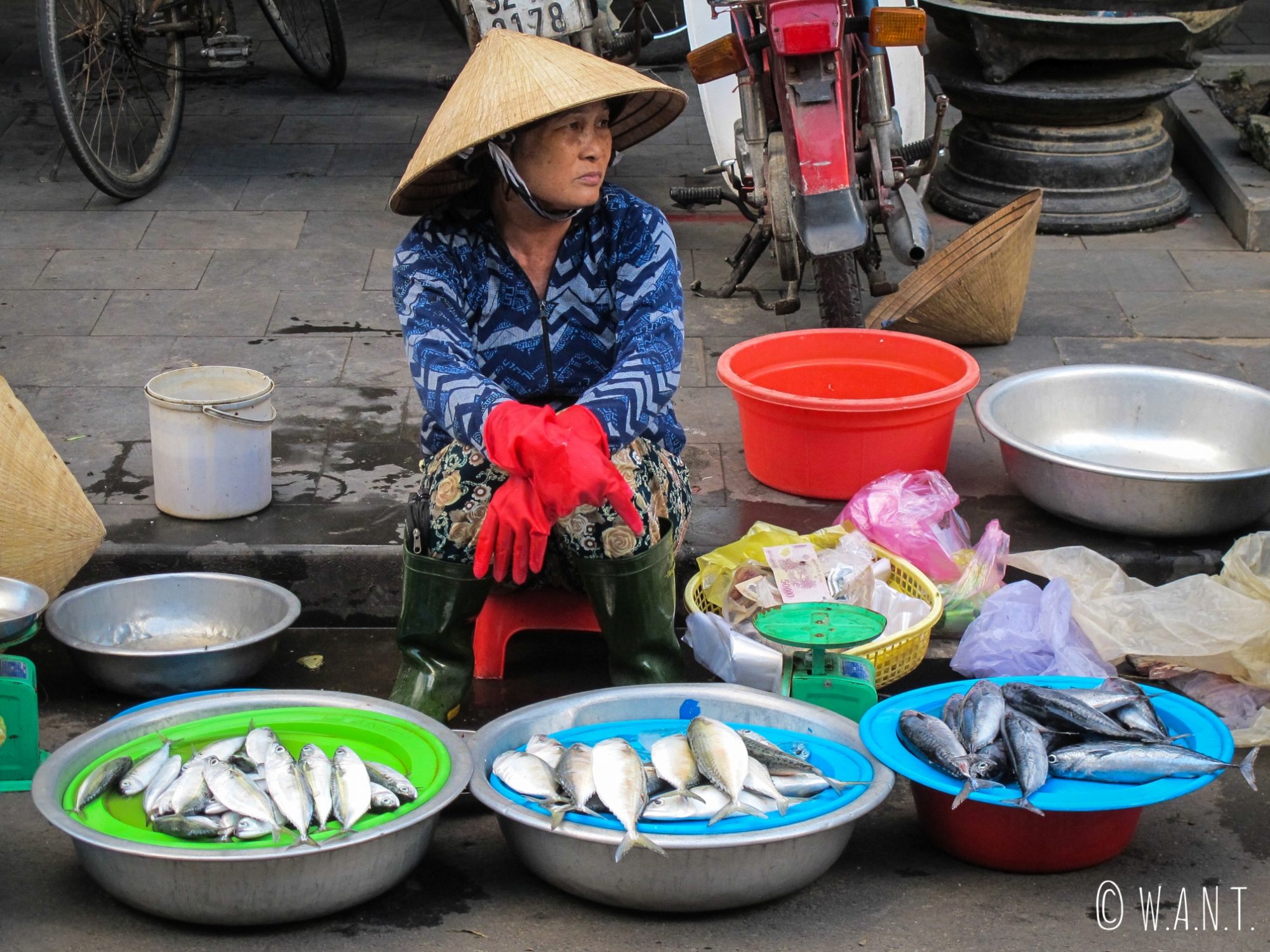 Vendeuse de poissons sur le marché de la vieille ville de Hoi An