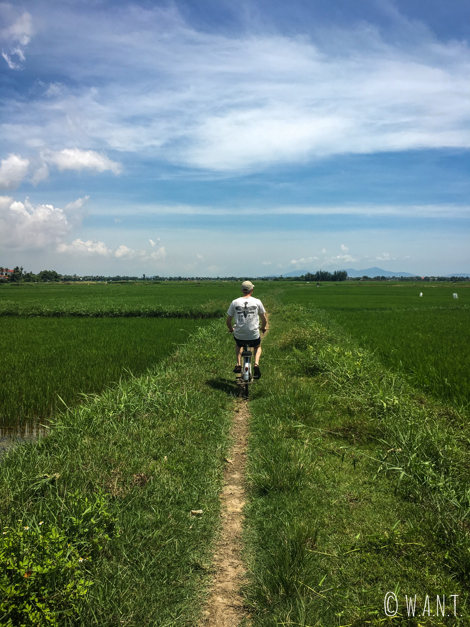 Vincent pédalant à travers les rizières de la région d'Hoi An