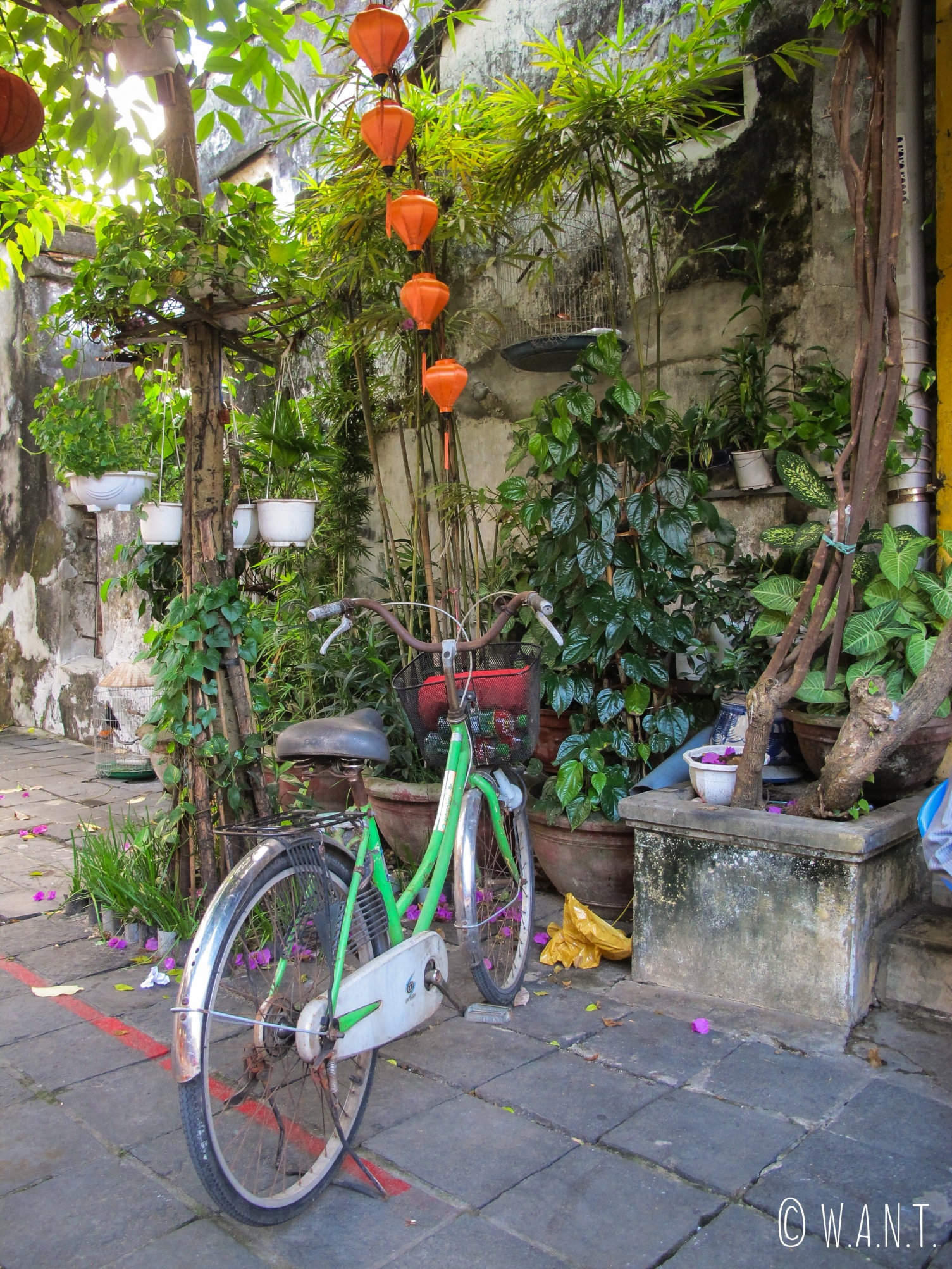 Vélo dans les rues de la vieille ville de Hoi An
