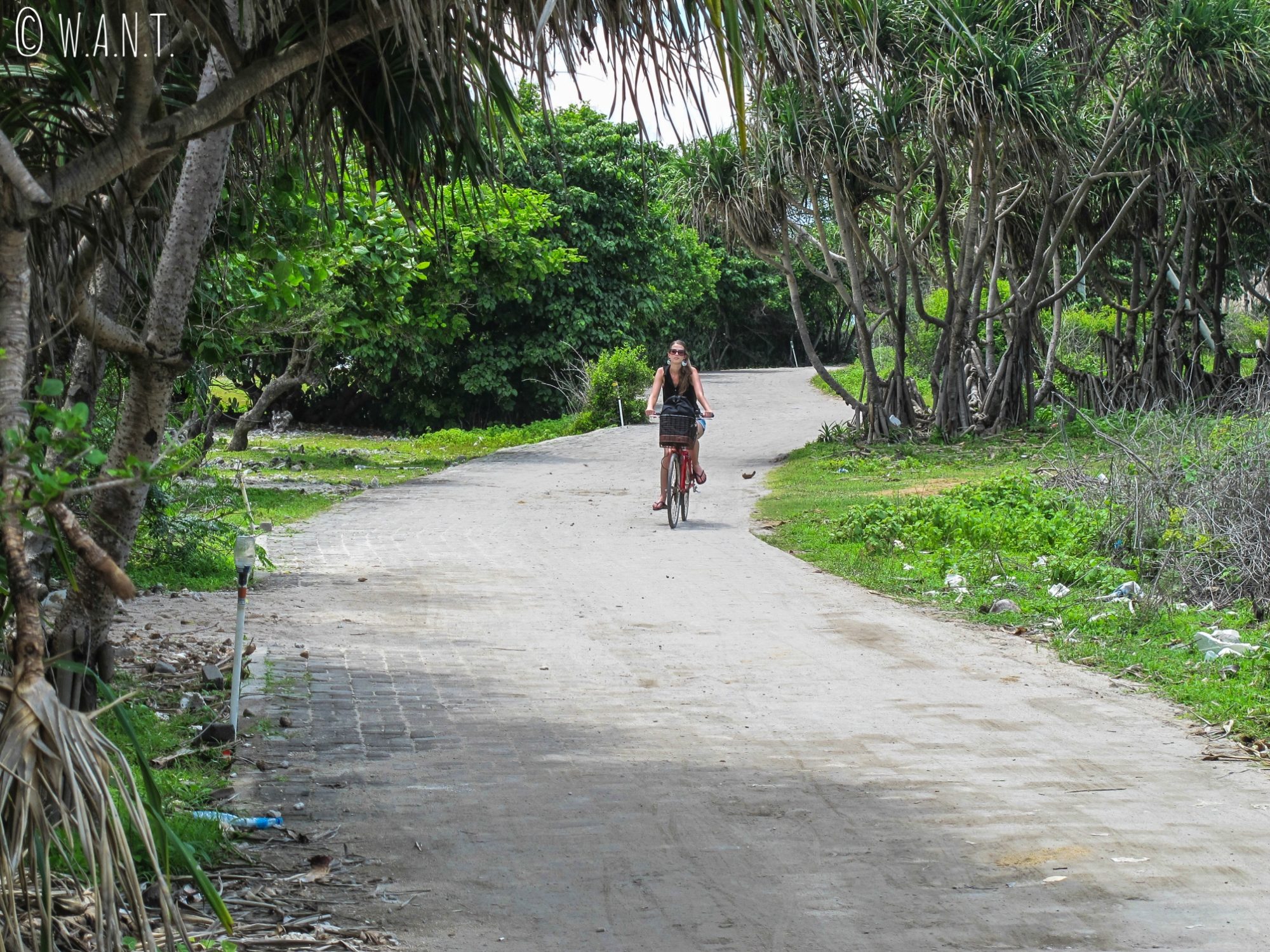 2015 - Promenade sur le sentier à l'ouest de l'île de Gili Trawangan